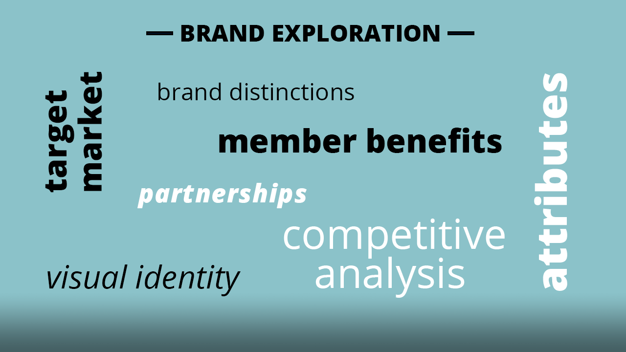 Carrie first conducted a full-day brand exploration with DTL’s board of directors that resulted in consensus on a new mission statement and brand attributes. She was chosen to then lead the design of a new brand identity and website based on the insights.