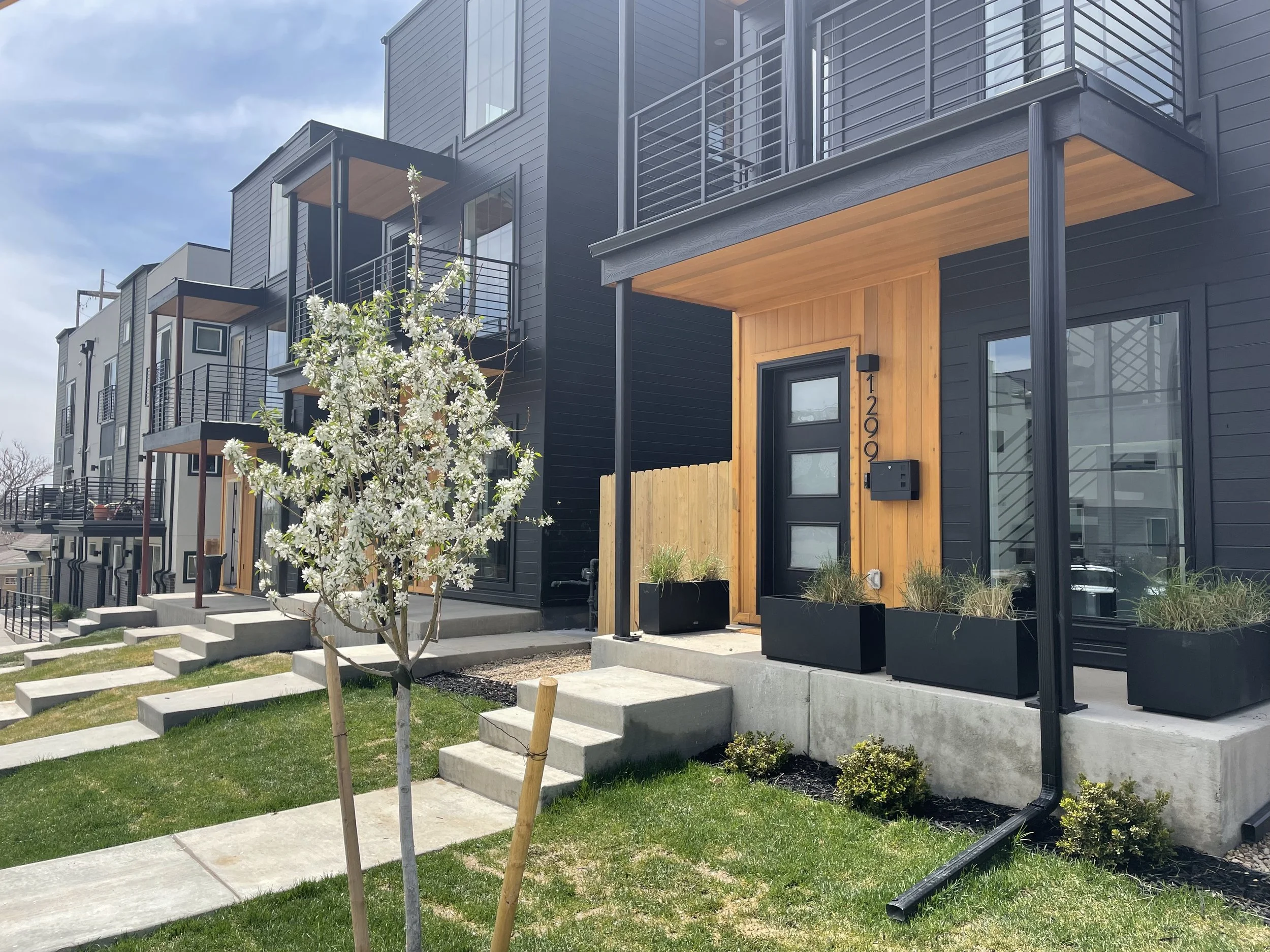 00 front multiple.jpeg