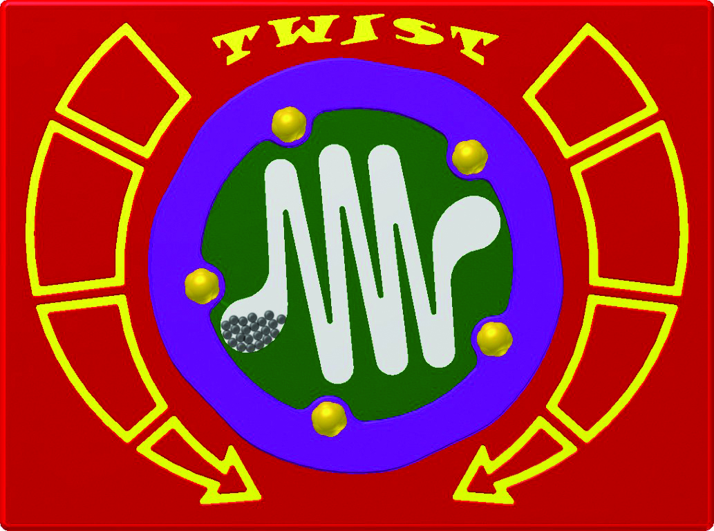 Twist-it : Code A1580