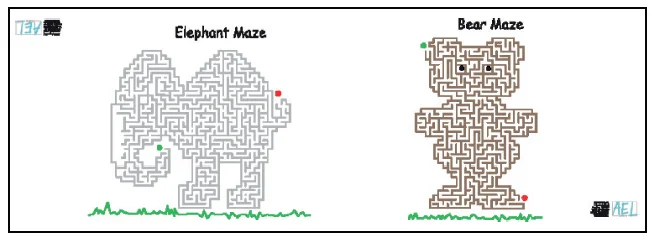 Double Maze : Code MA/MA