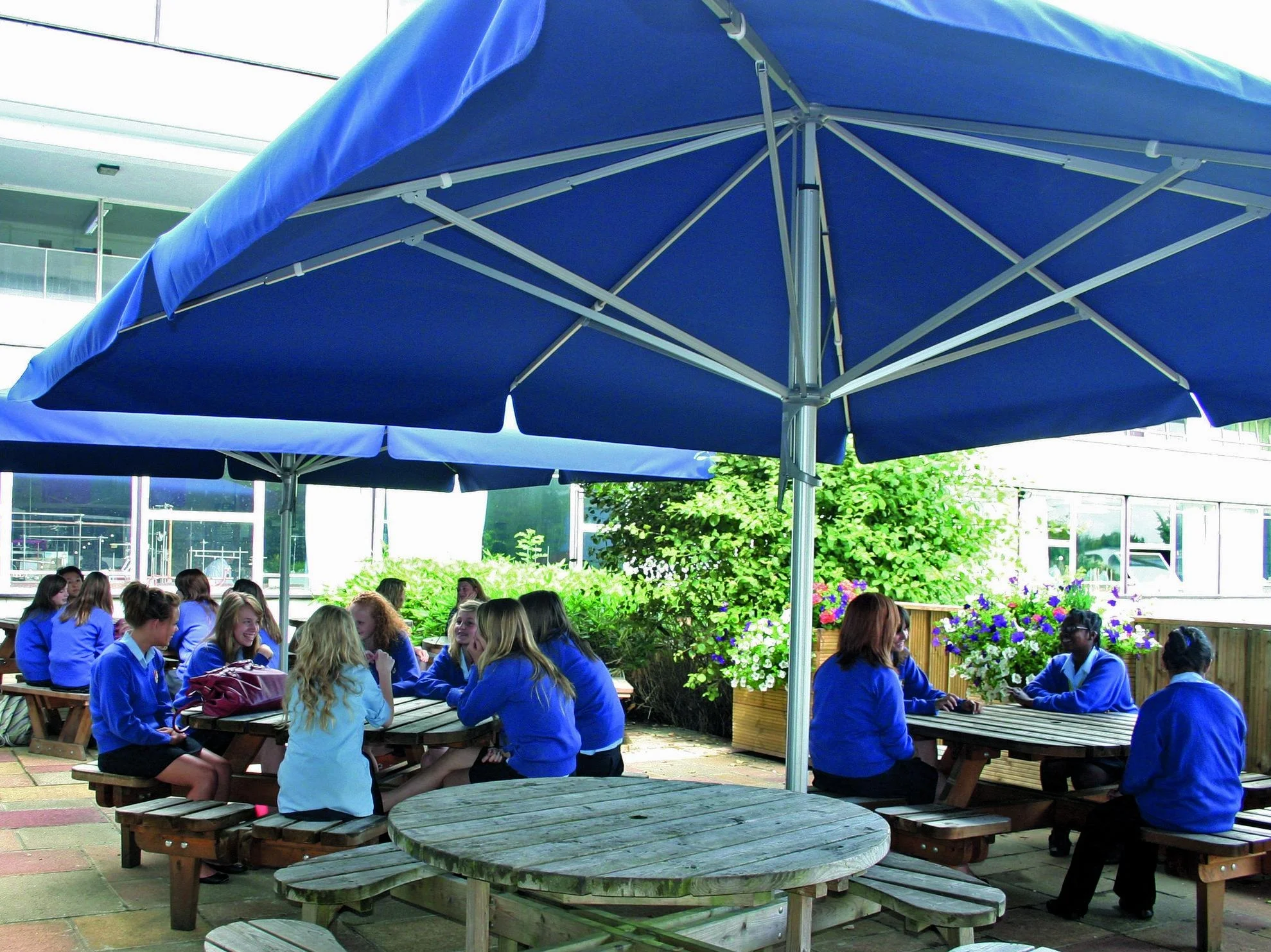 Giant Umbrellas — OUTDOOR FOR SCHOOLS BY AEL