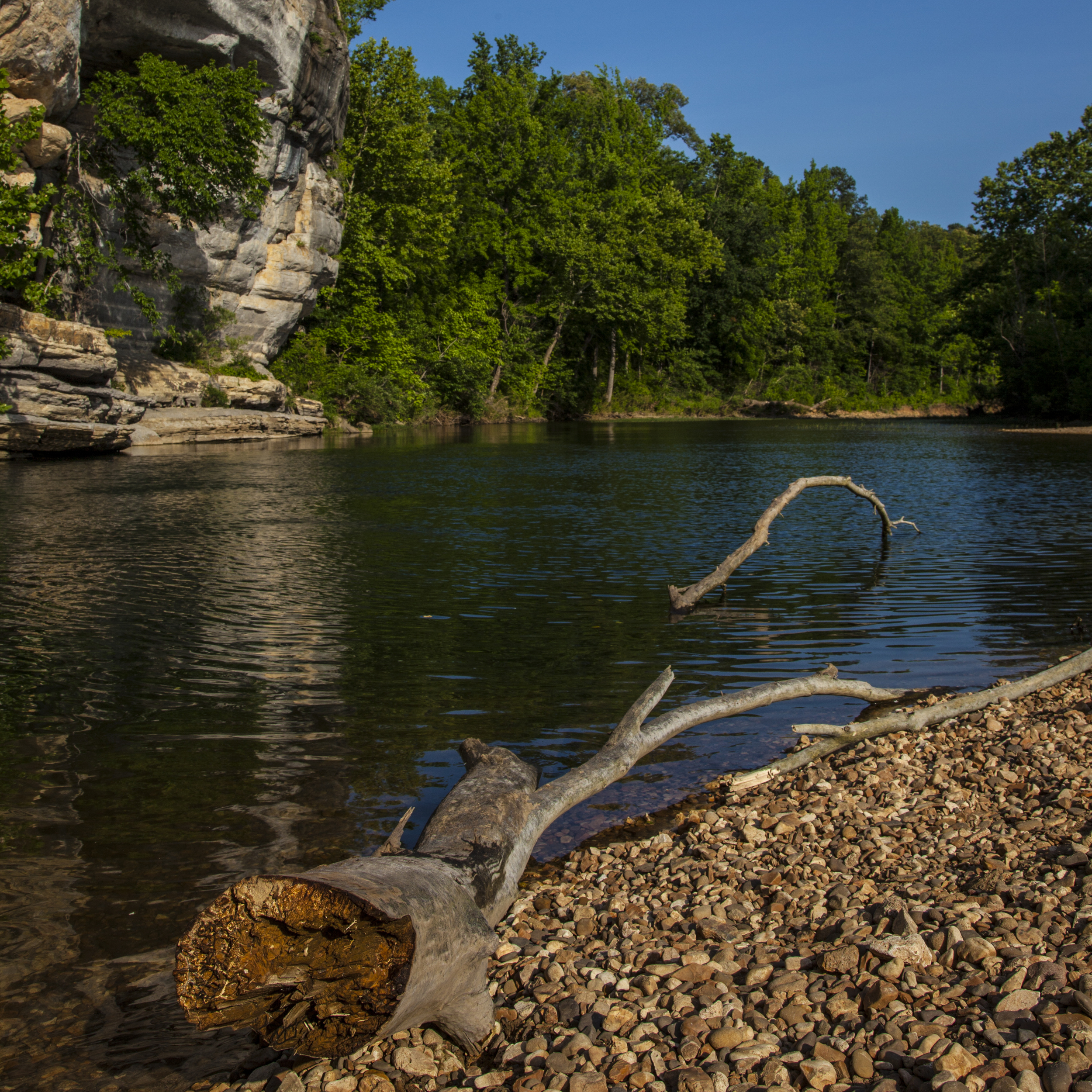 You Helped Us Ban New Large Swine Operations on the Buffalo You flooded ADEQ with a record number of comments supporting our proposal to ban industrial hog operations in the Buffalo National River watershed. The public outcry ensured the Panel and the Ozark Society’s efforts to protect the Buffalo became law. T he Arkansas Pollution Control and Ecology Commission adopted changes to two regulations to prohibit new permits for large swine facilities in the Buffalo River Watershed. The Panel and the Ozark Society petitioned the Commission in April of 2014, to initiate both rulemakings.