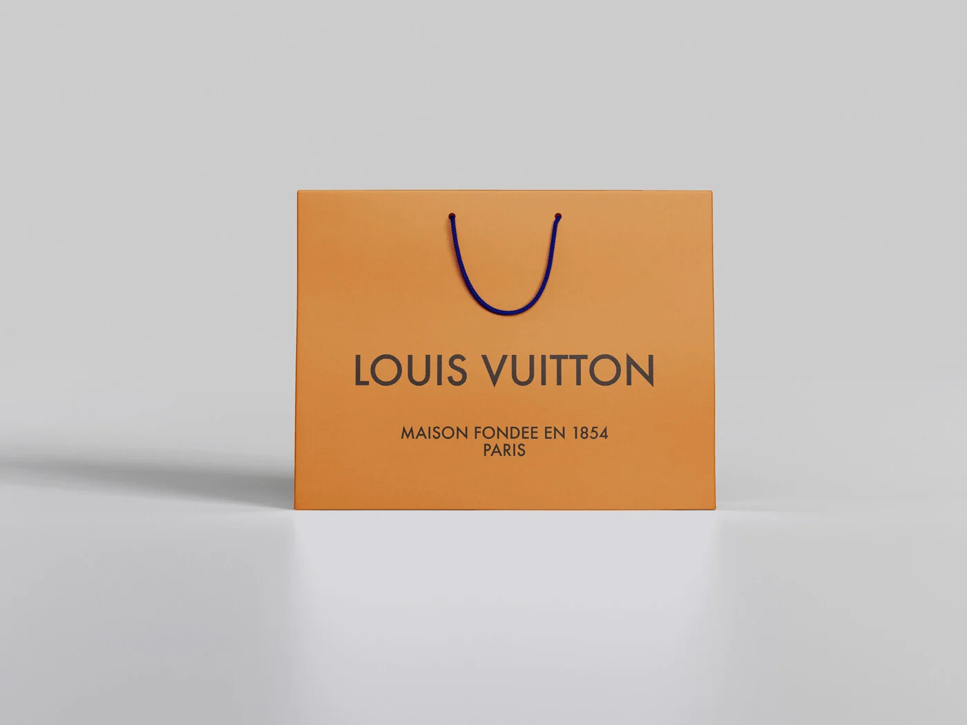 5.5_LV_Bag_01.jpg