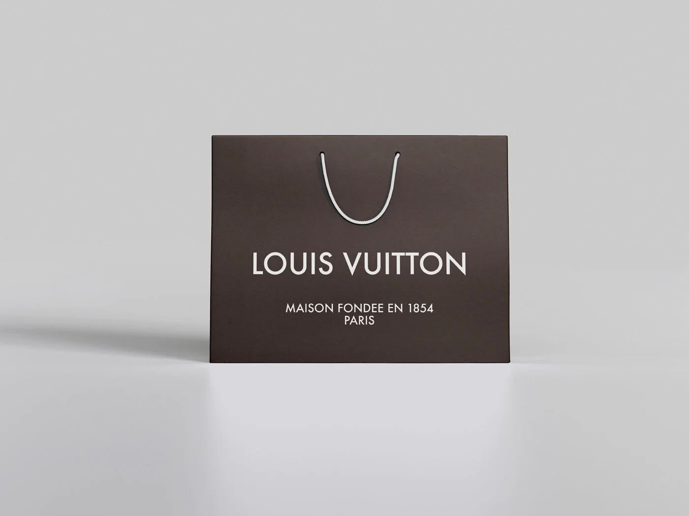 5.5_LV_Bag_02.jpg