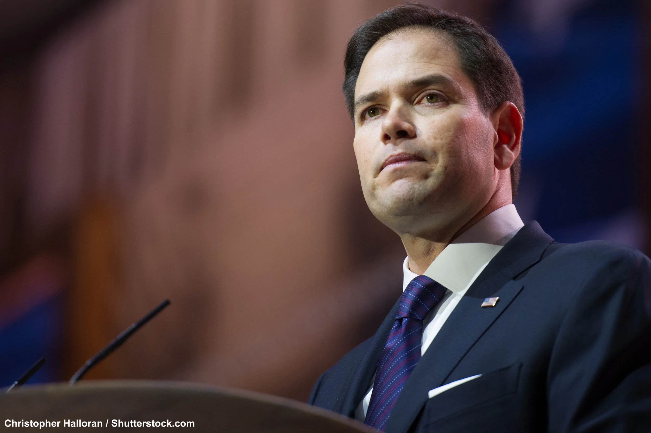 The Great Brown Hope?