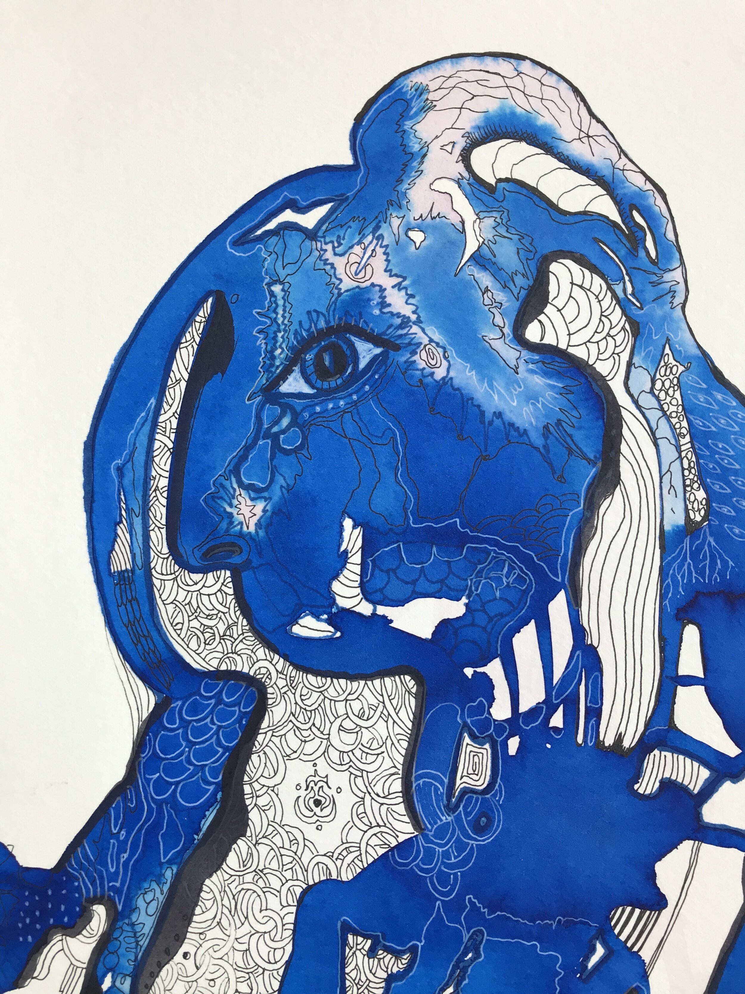 A6BF5653-9B84-4EA5-BFD1-1EA53C03F382