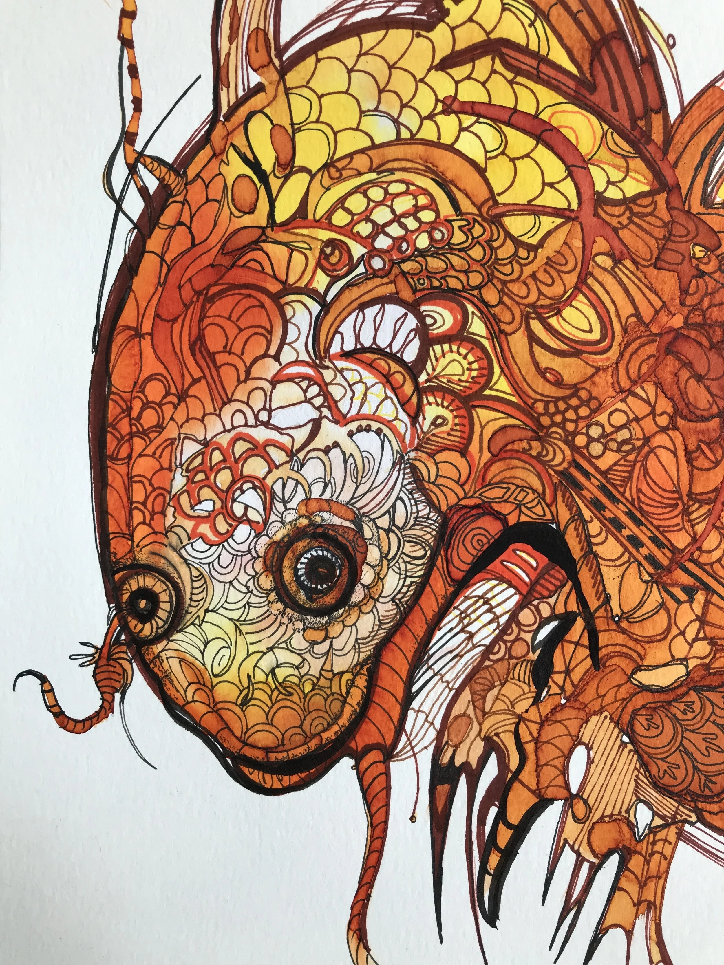 A0C23BEE-693F-4574-8B1E-D3812C726FD9