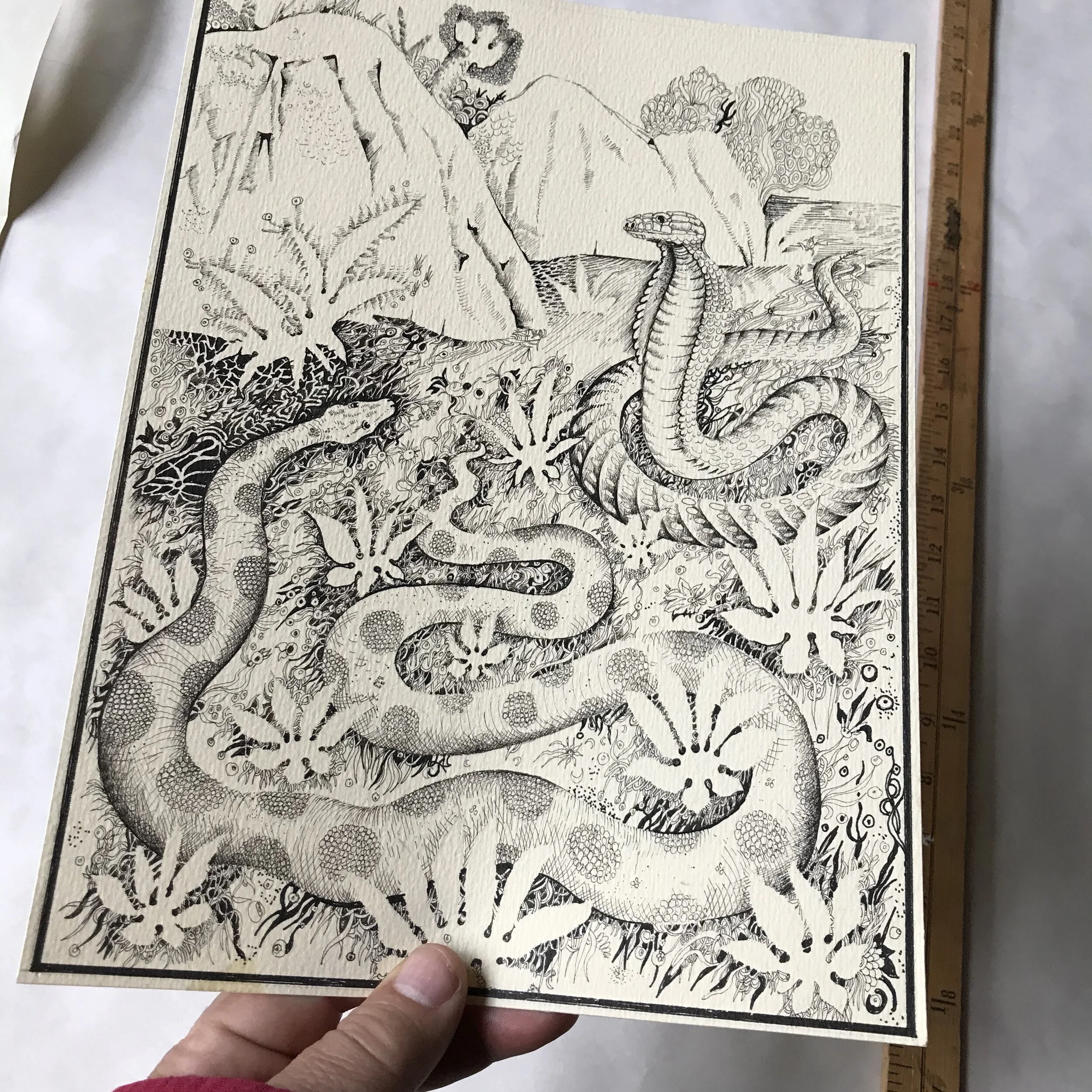 21D48616-C2EB-49EE-946B-1DD535648BFD