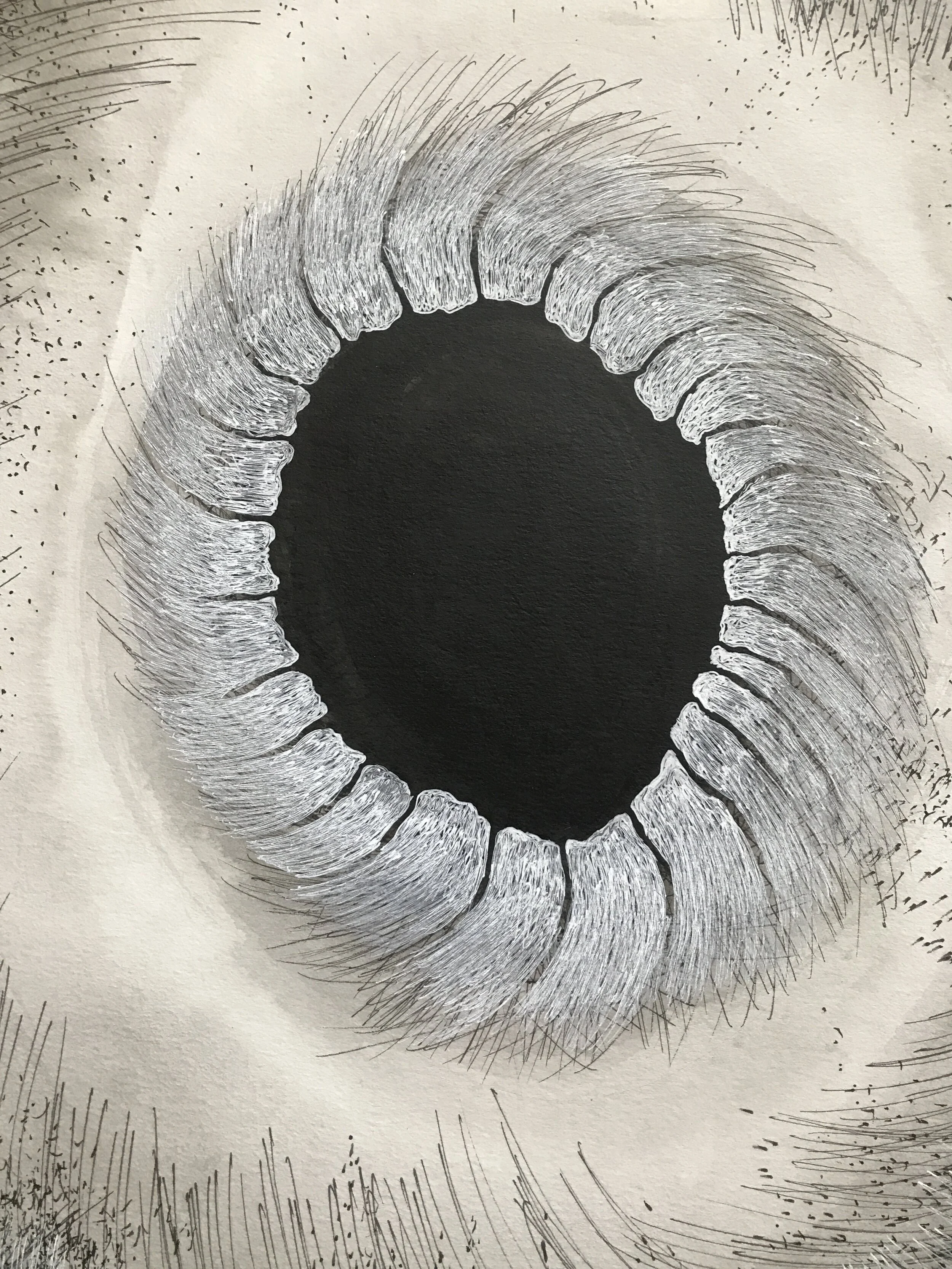 83B4DCD5-5284-46DA-8540-555789BB78F5