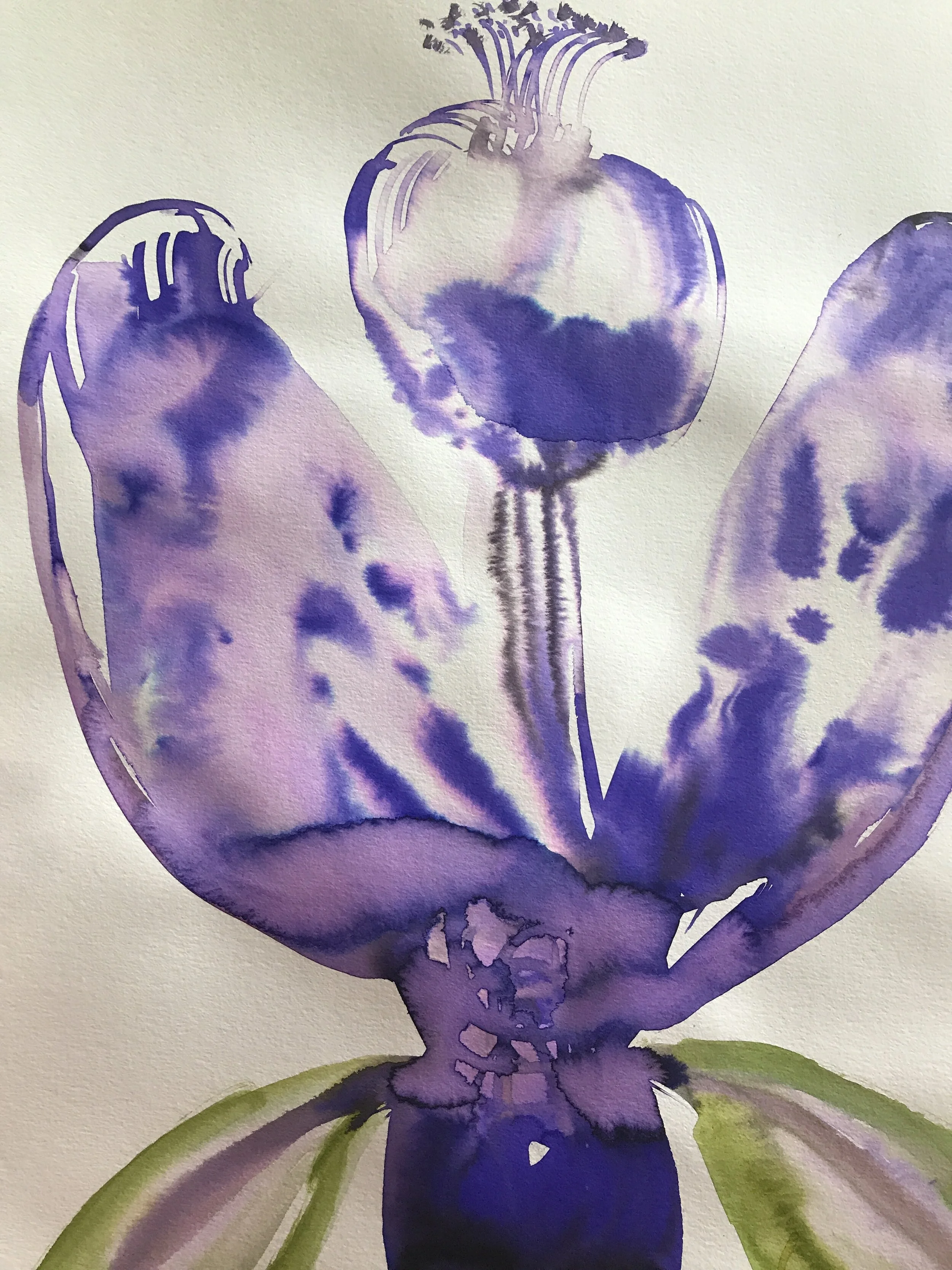 A0DAE86E-2E35-459D-B78B-1B40DDF68B60