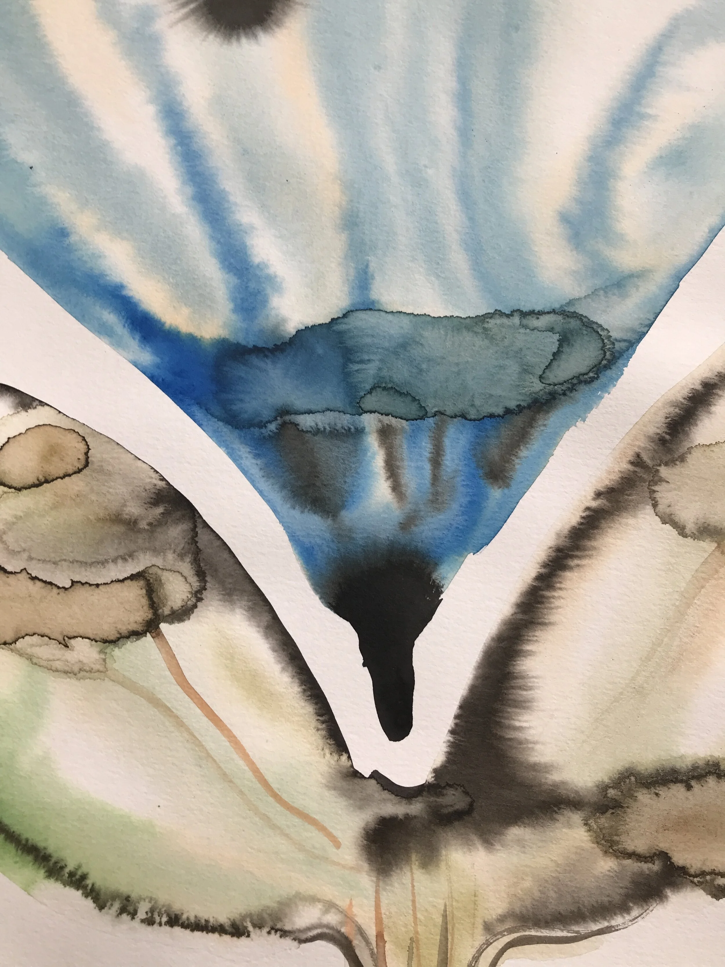 61CA464D-F52E-4AC7-AF8E-CFACBCB454CF