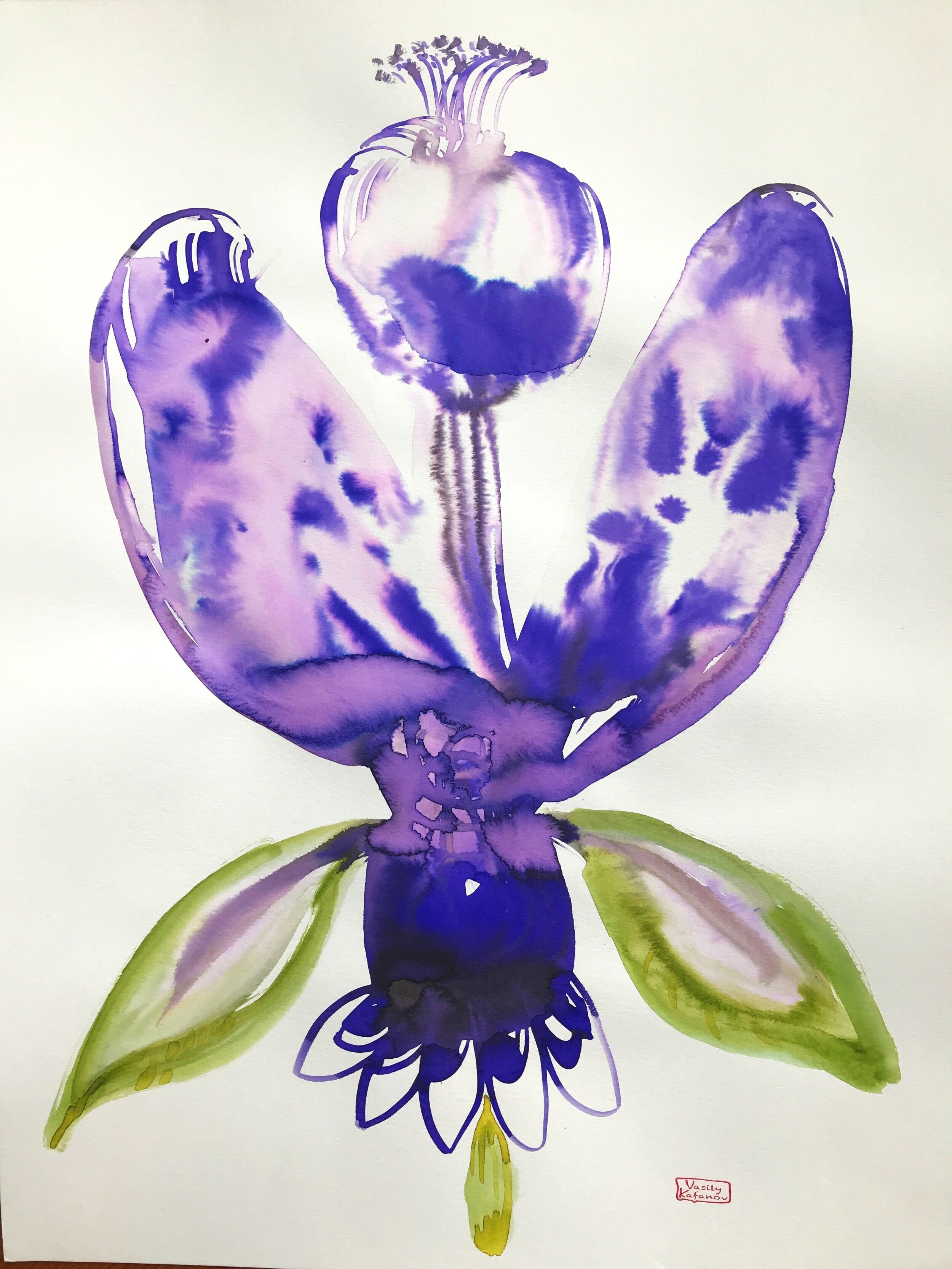 AFC25487-8EAB-411B-8FDE-50541FC37901