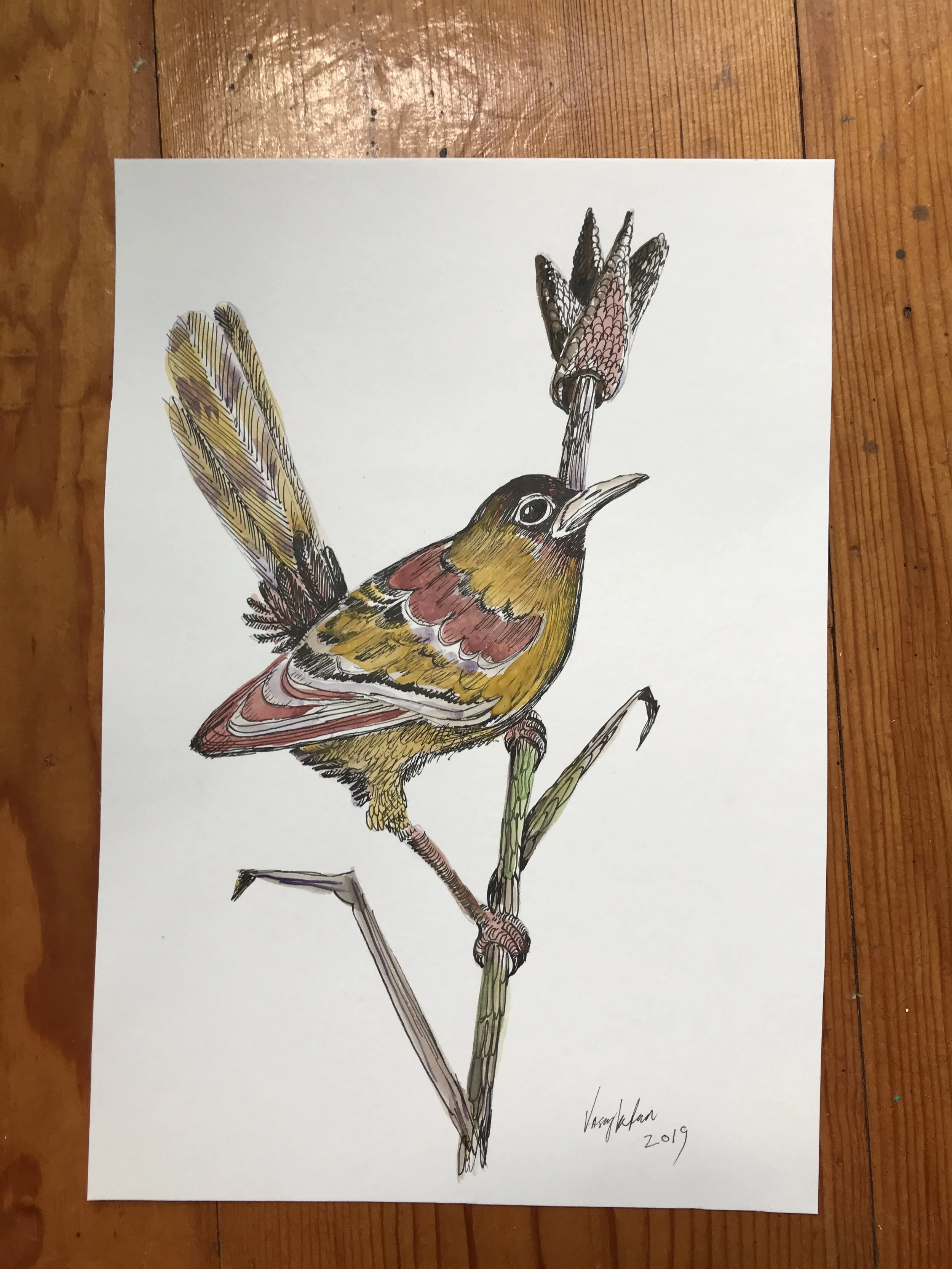 0F3E0FF0-D96A-4928-9612-2BB5E84FA7CA