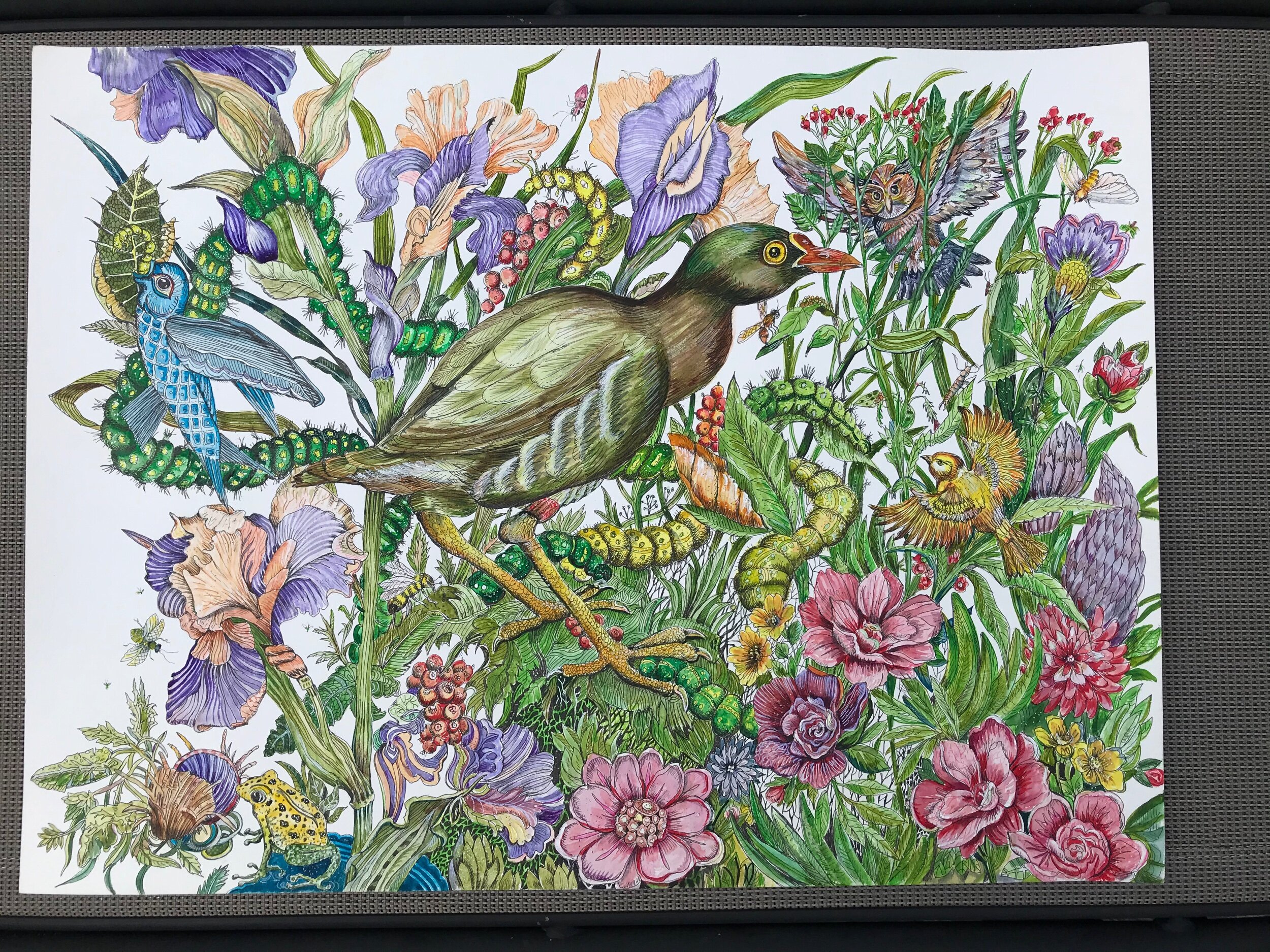 83D58F19-4E99-4CAA-B844-627A266B10AB