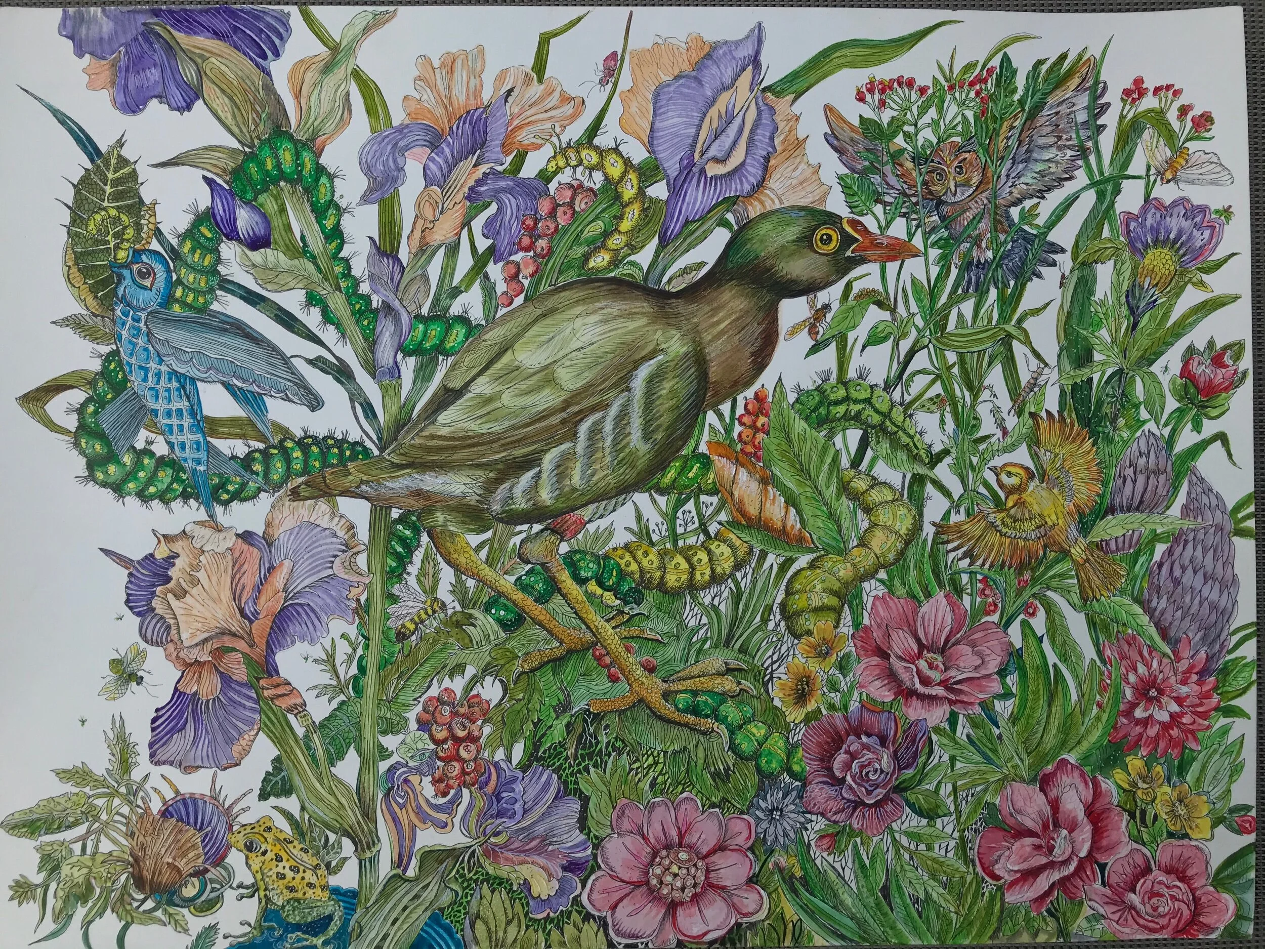 44BE225E-996A-435F-93A5-D14676DD04AC