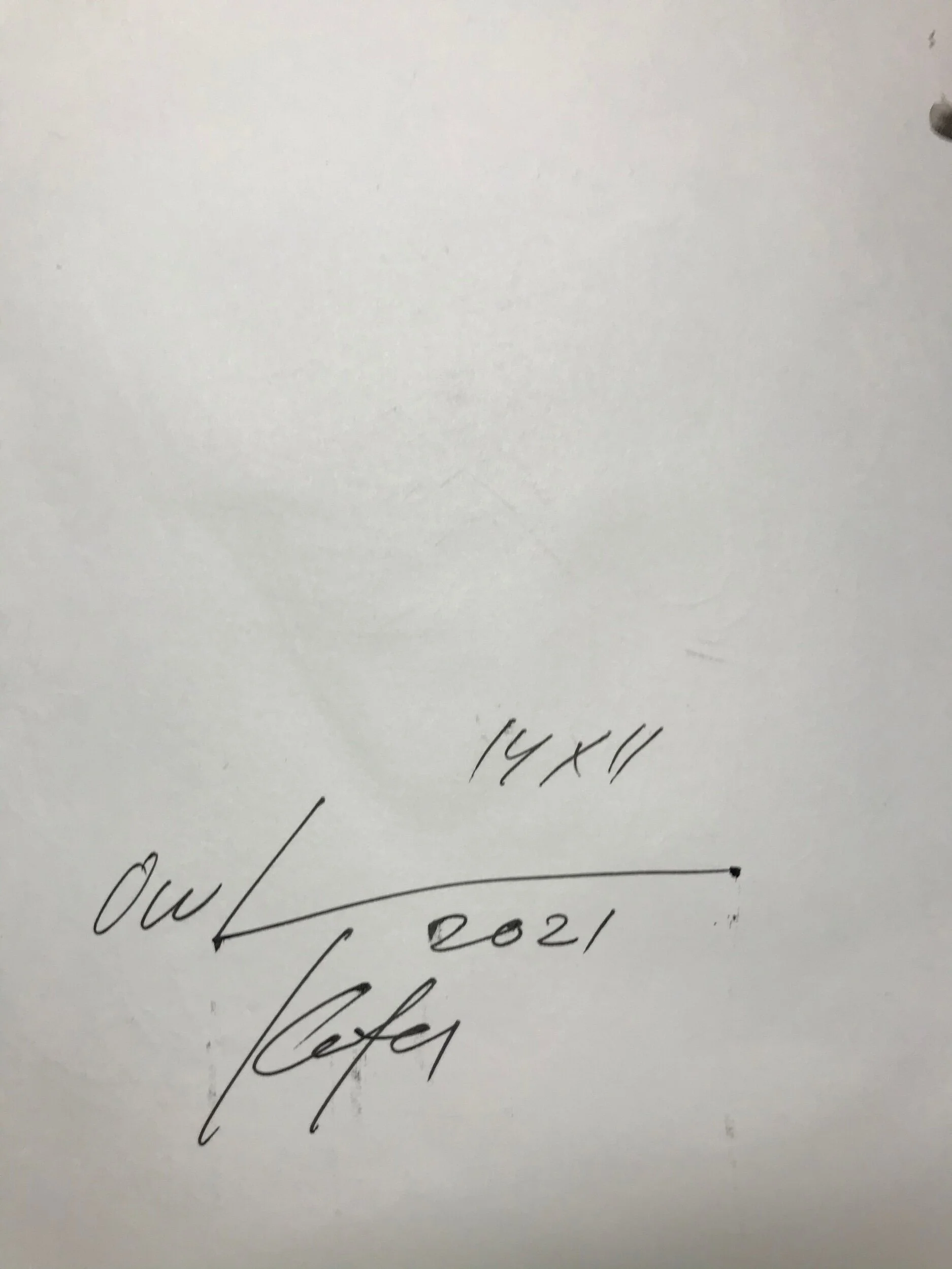 D8B7F81A-18E3-4A19-96B7-64E6E317770C