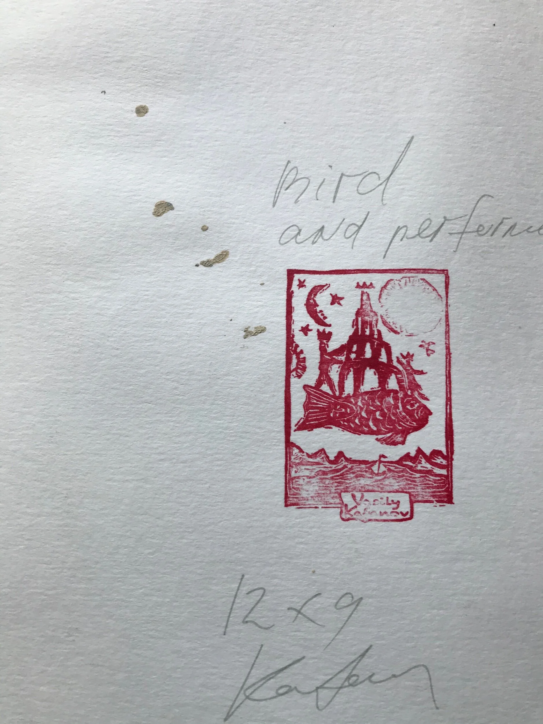 26339AE8-3B82-4D2B-81DB-2237F787086C