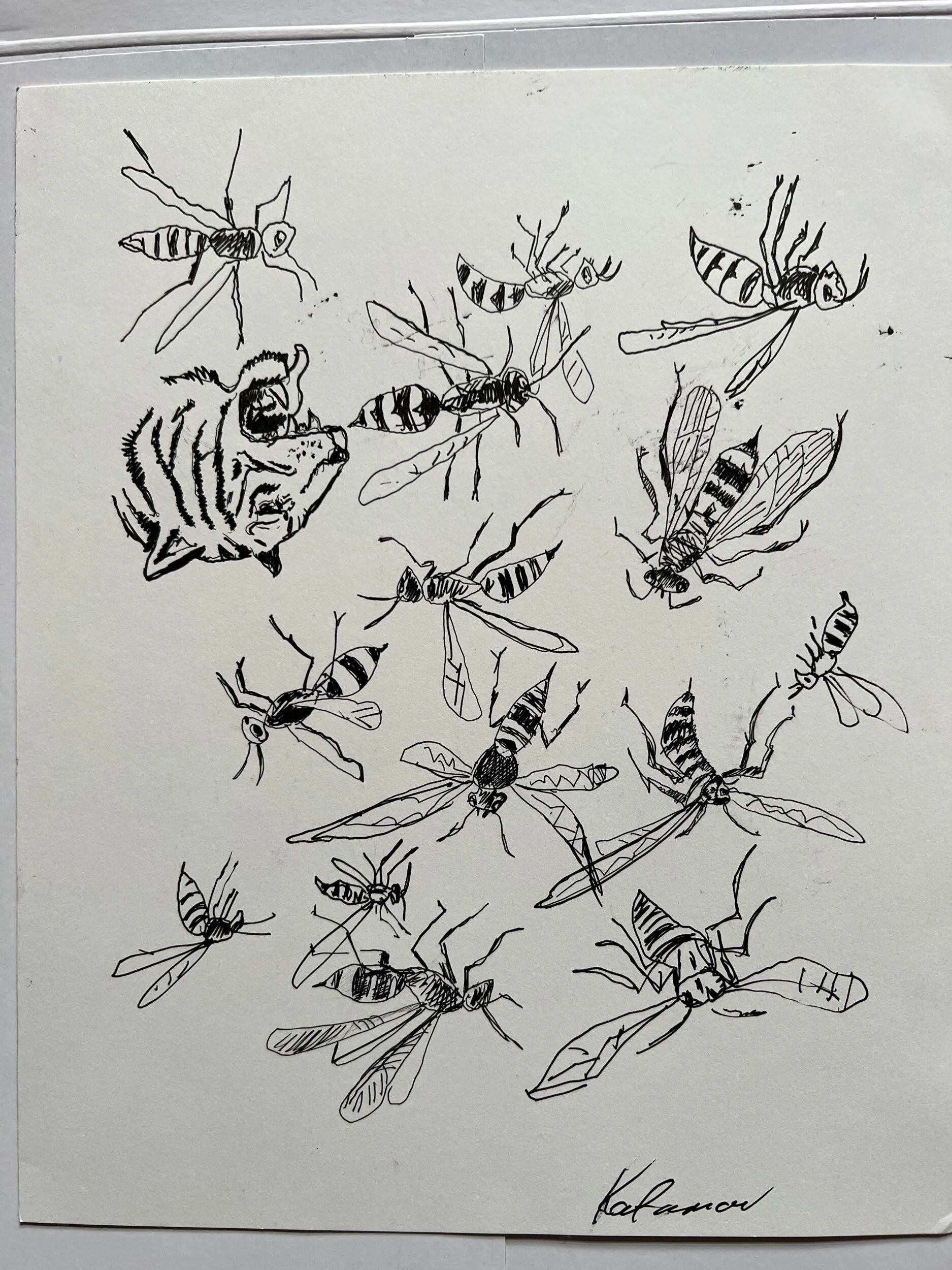 62903FAE-5A3E-4FC1-A436-E8111CAB6934