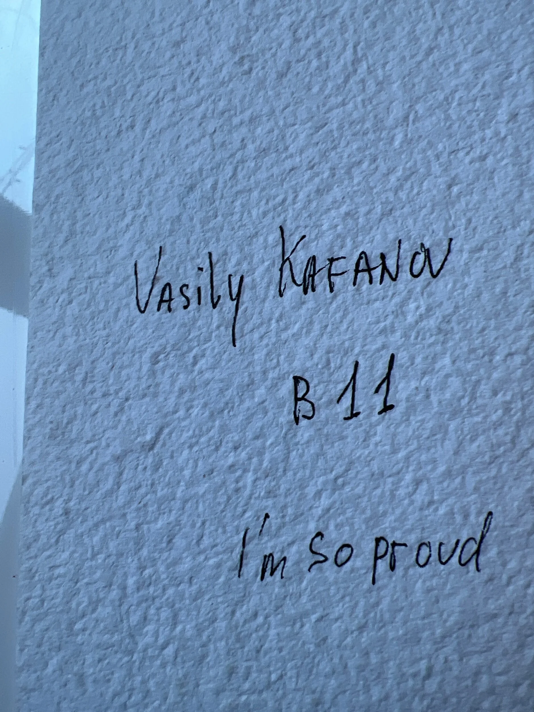 A3310A69-03E6-4A90-AF94-CFDE0565047C