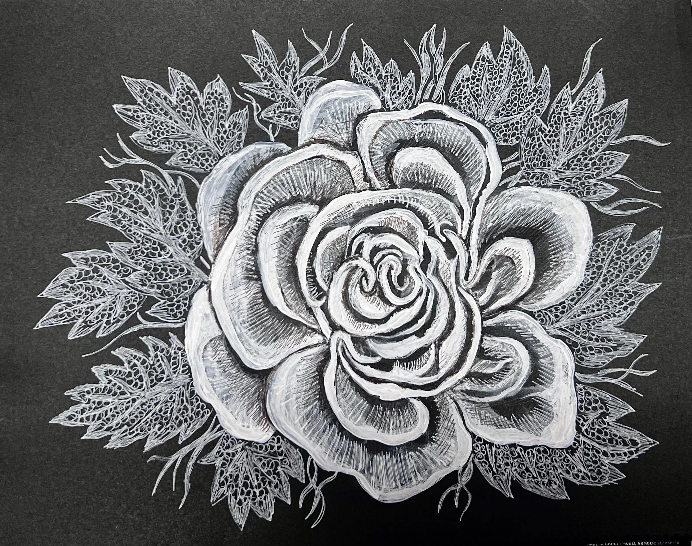 4F0DD33F-A3E3-48D1-9598-5652F26FF141