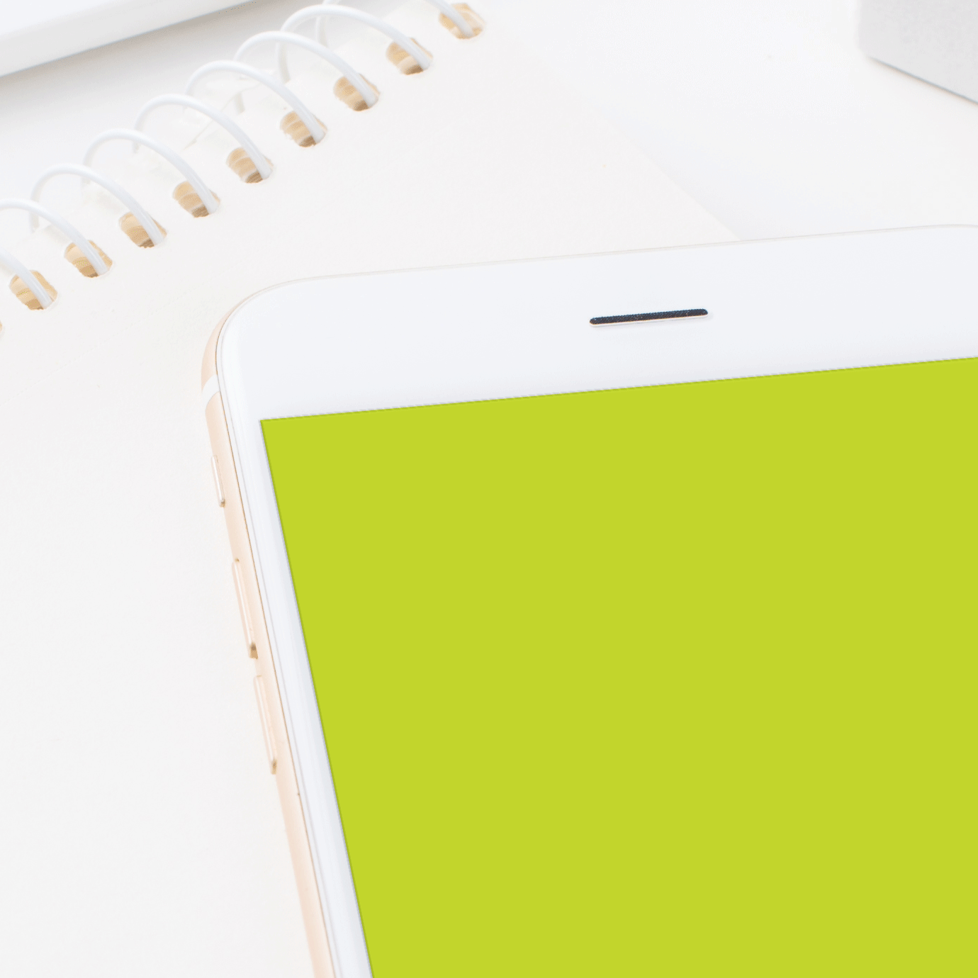 thumbnail.gif