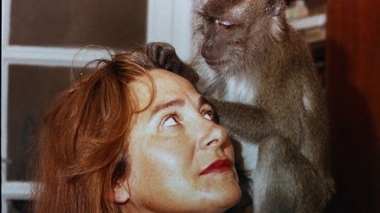 Six Films Travel to Camden International Film Festival