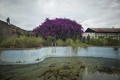 Dogwoof Docs at IDFA, DOC NYC and DOK LEIPZIG