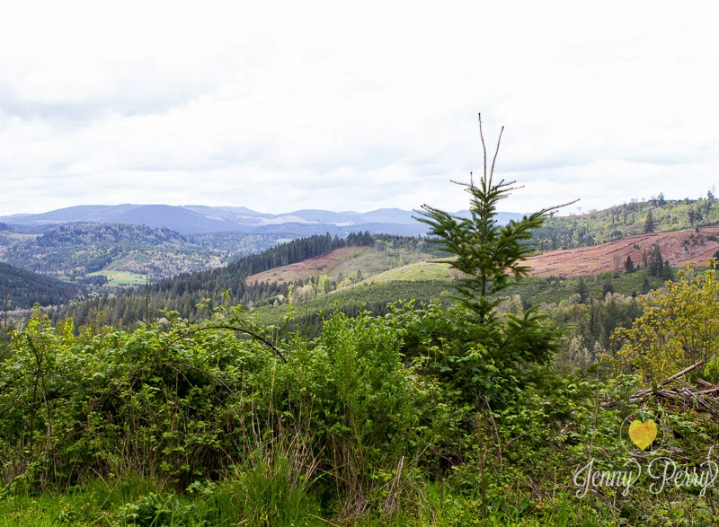 JennyPerryPhotography-OregonGirlsTripforWeb-24.jpg