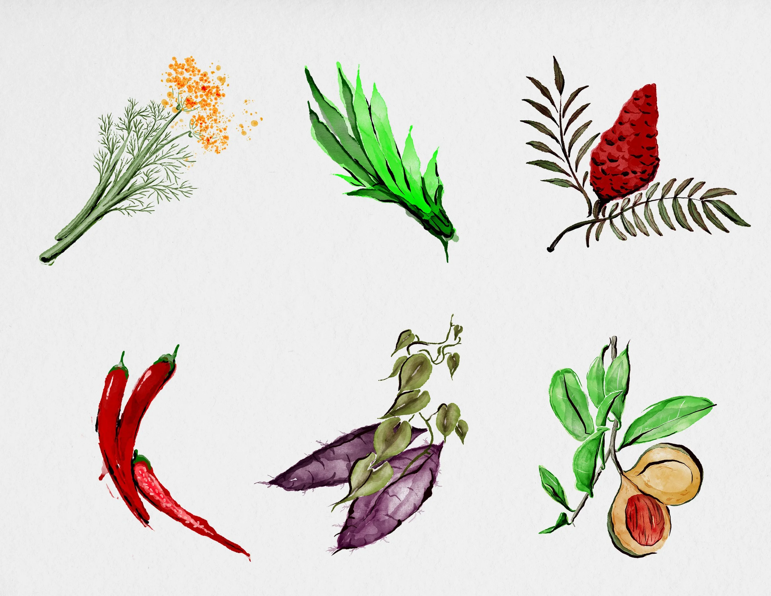 Mace_Web-VariousCrops_SPICES-A.jpg