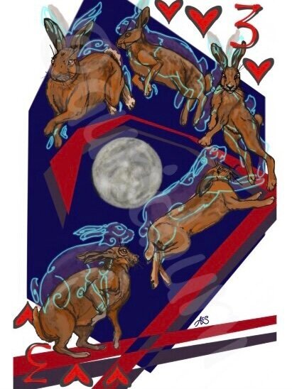 41137AA8-D2DF-427E-B89F-64482991332B