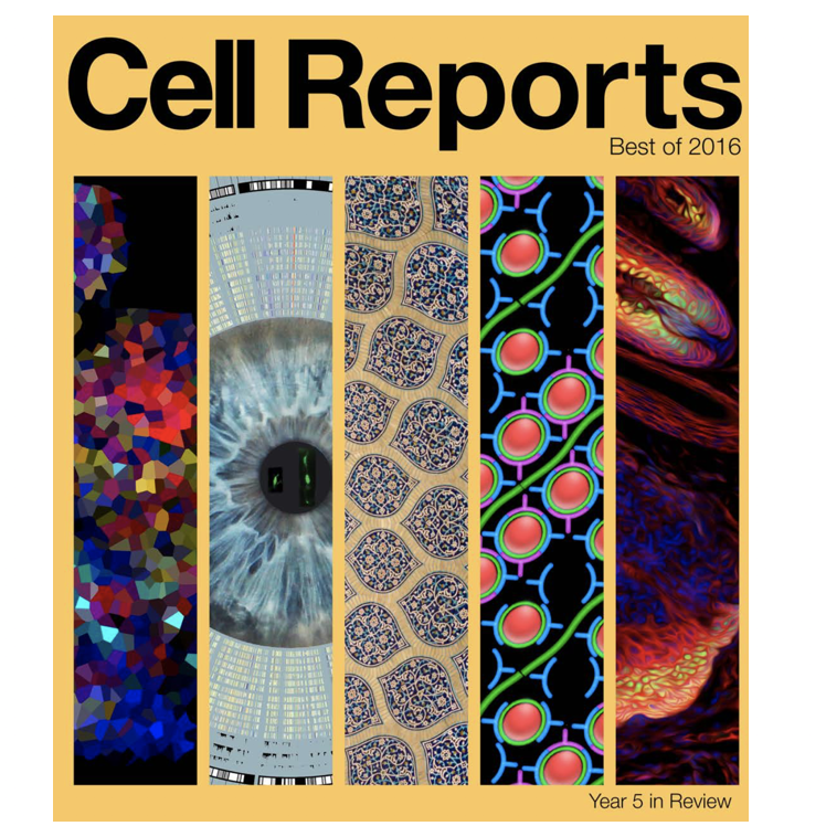 Best of Cell Reports 2016.png