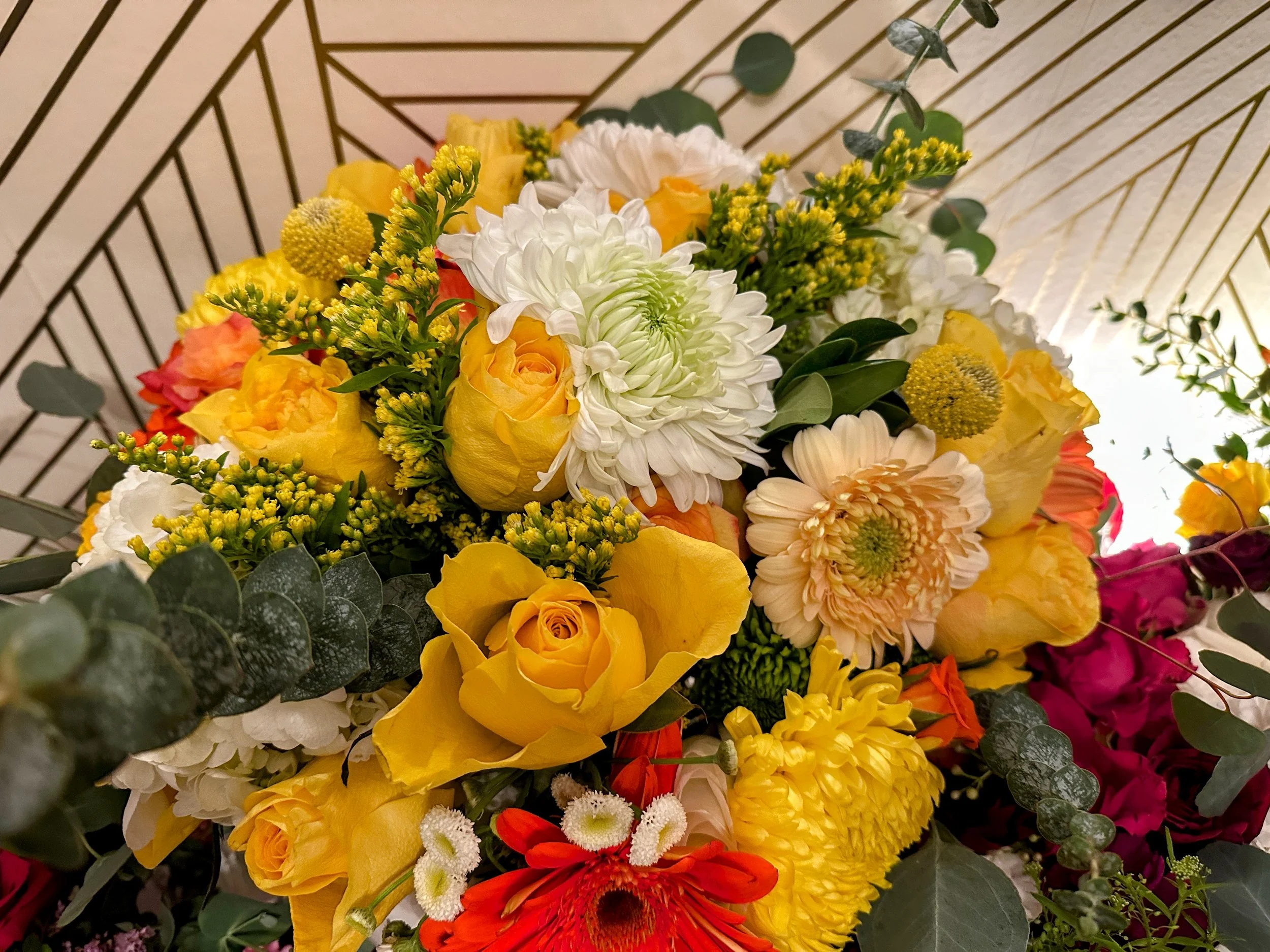IMG_3099-EDIT.jpg
