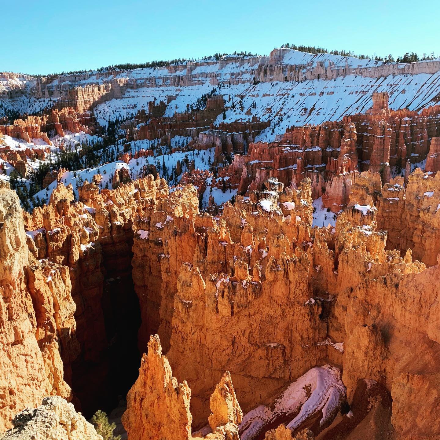 Hoodoo you love?! Visiting Bryce Canyon National Park is like landing on another planet! Truly out of this world! #brycecanyon #utah #nationalparks #nature #naturephotography #roadtrip #travel #travelphoto #adventure #naturalbeauty #wanderlust #wande