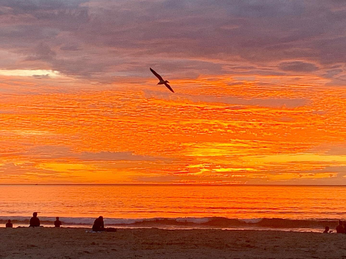 Merry Christmas from San Diego! 🎄🎁🌴🌊🌅 #sunset #pacific #california #californiadreaming #californialove #christmas #californiachristmas #stayhome #ilivehere #wander #wanderlust #travel #wandersnevercease #christmaseve #christmassunset #nofilterne