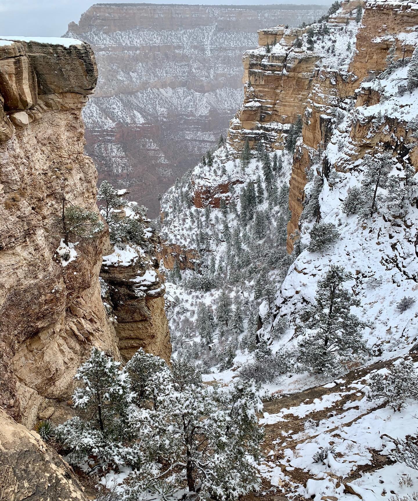 The Grand Canyon is beautiful, even when you can barely see it through all the snow. ❄️❄️❄️ #grandcanyon #snowday #snow #roadtrip #nationalpark #travel #safetravels #arizona #snowy #wanderlust #wander #wandersnevercease