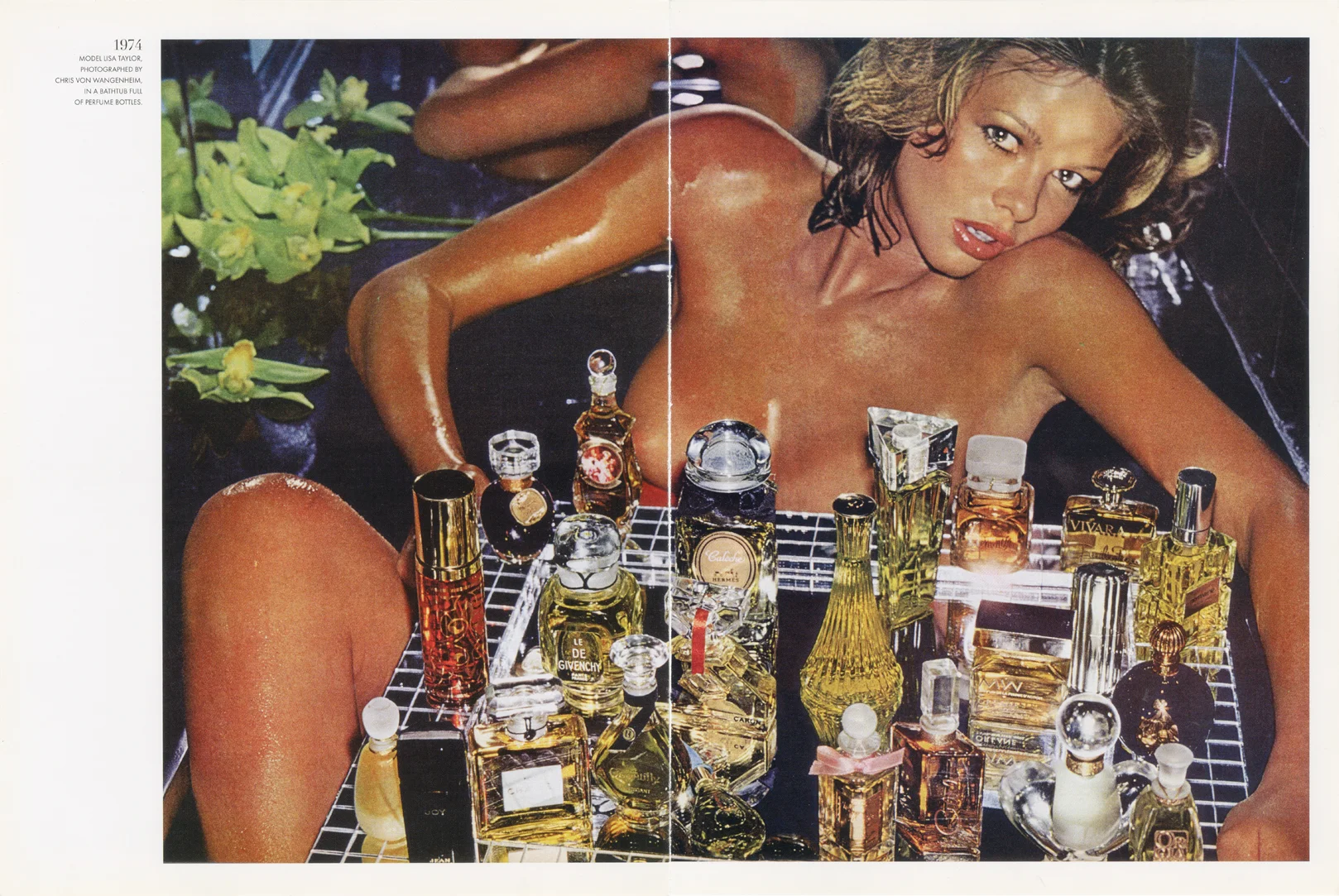 Scan 27.jpg