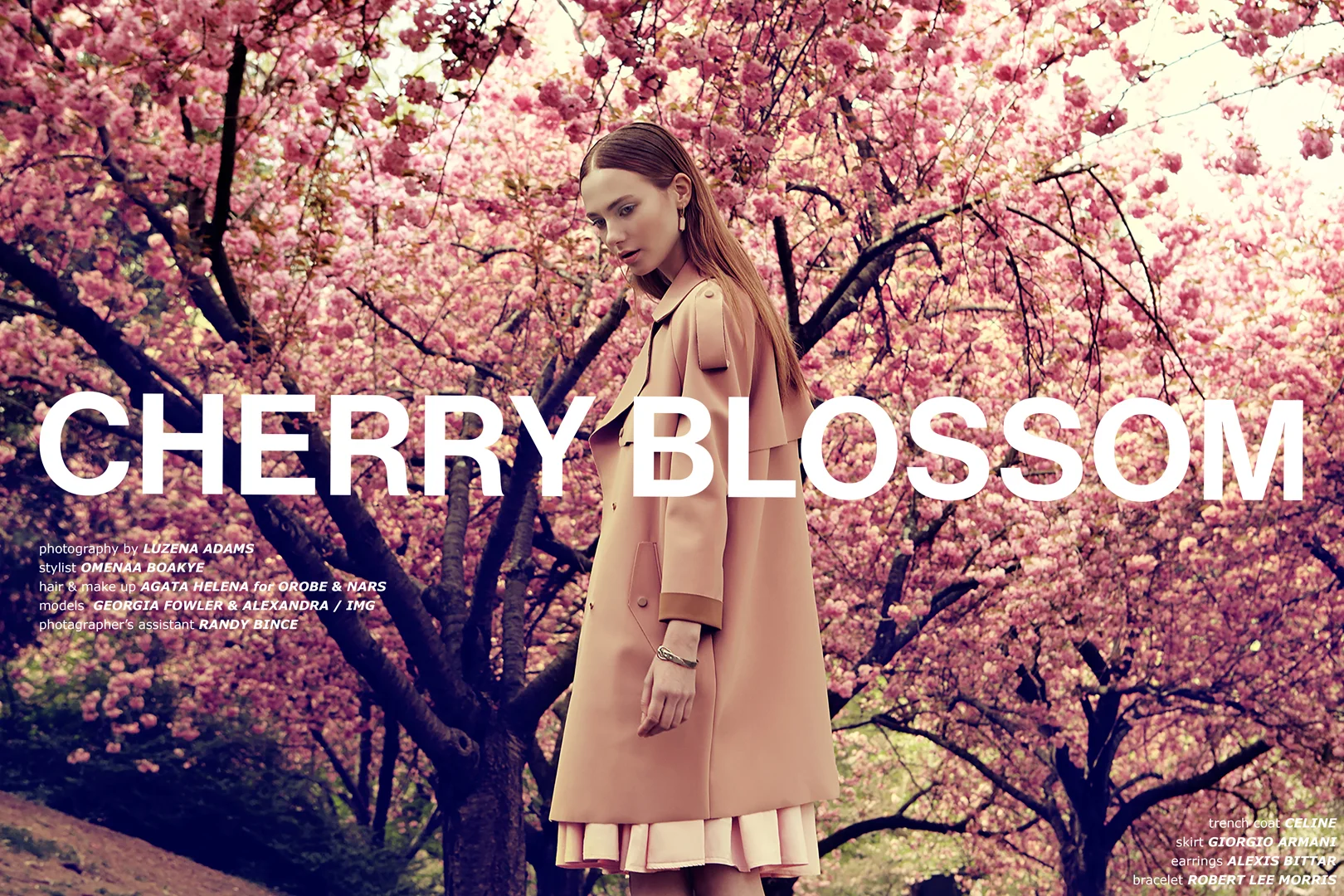 1_text_Cherry Blossom_large.jpg