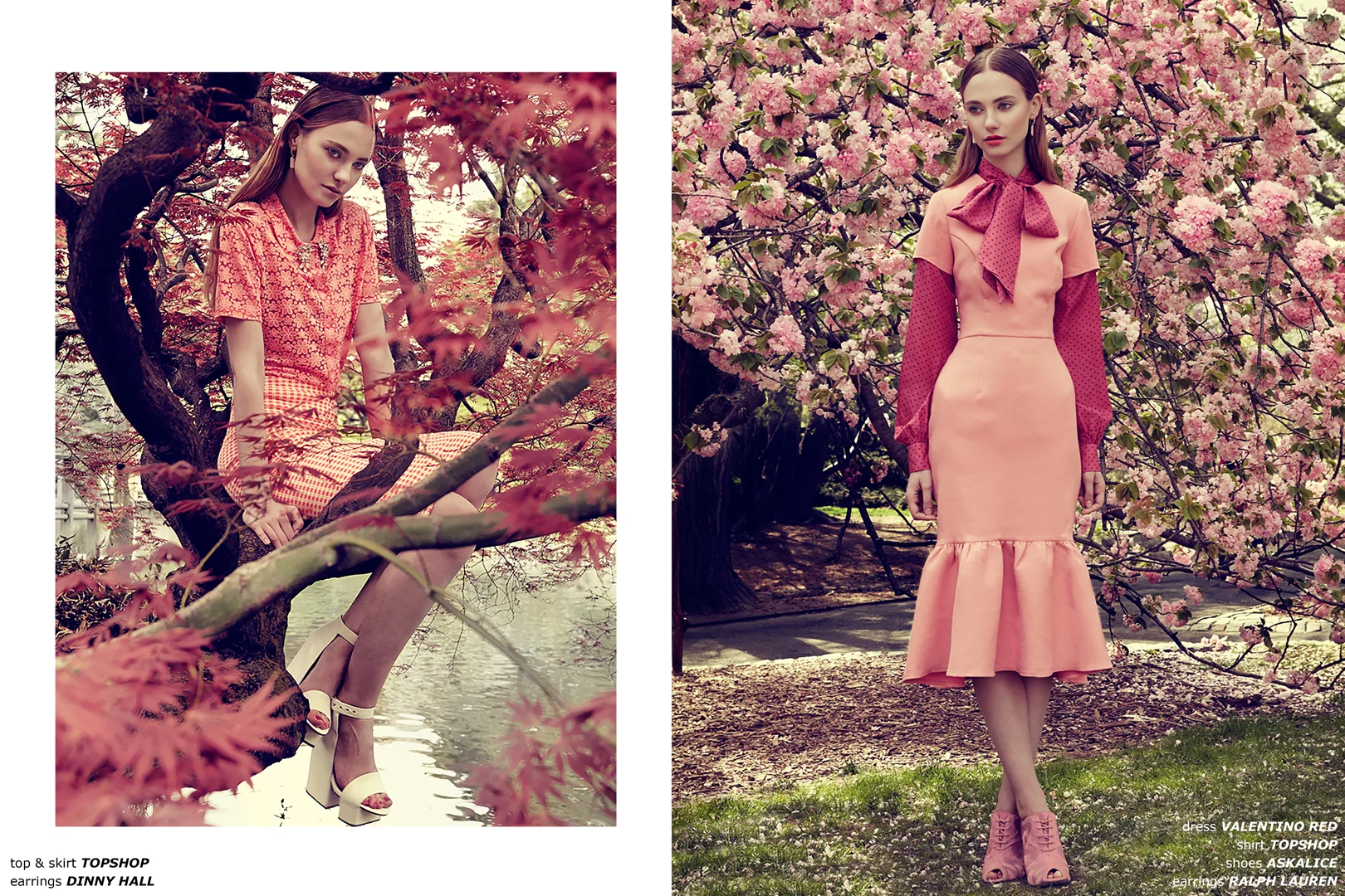 5_text_Cherry Blossom_large.jpg