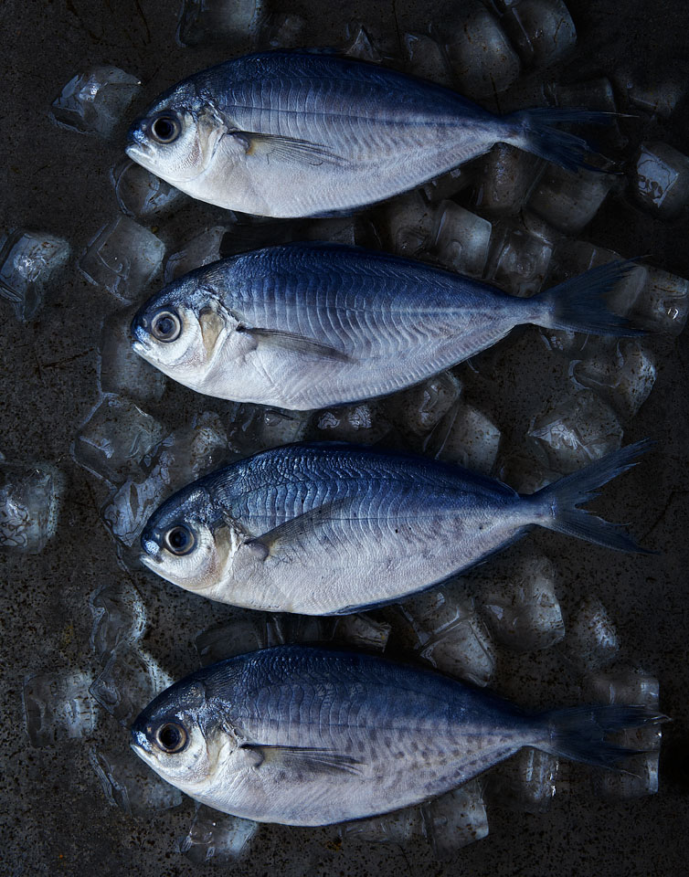 Seafood+0427_o.jpeg