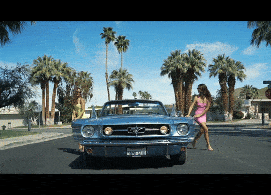 Likely Campaign Palm Springs
