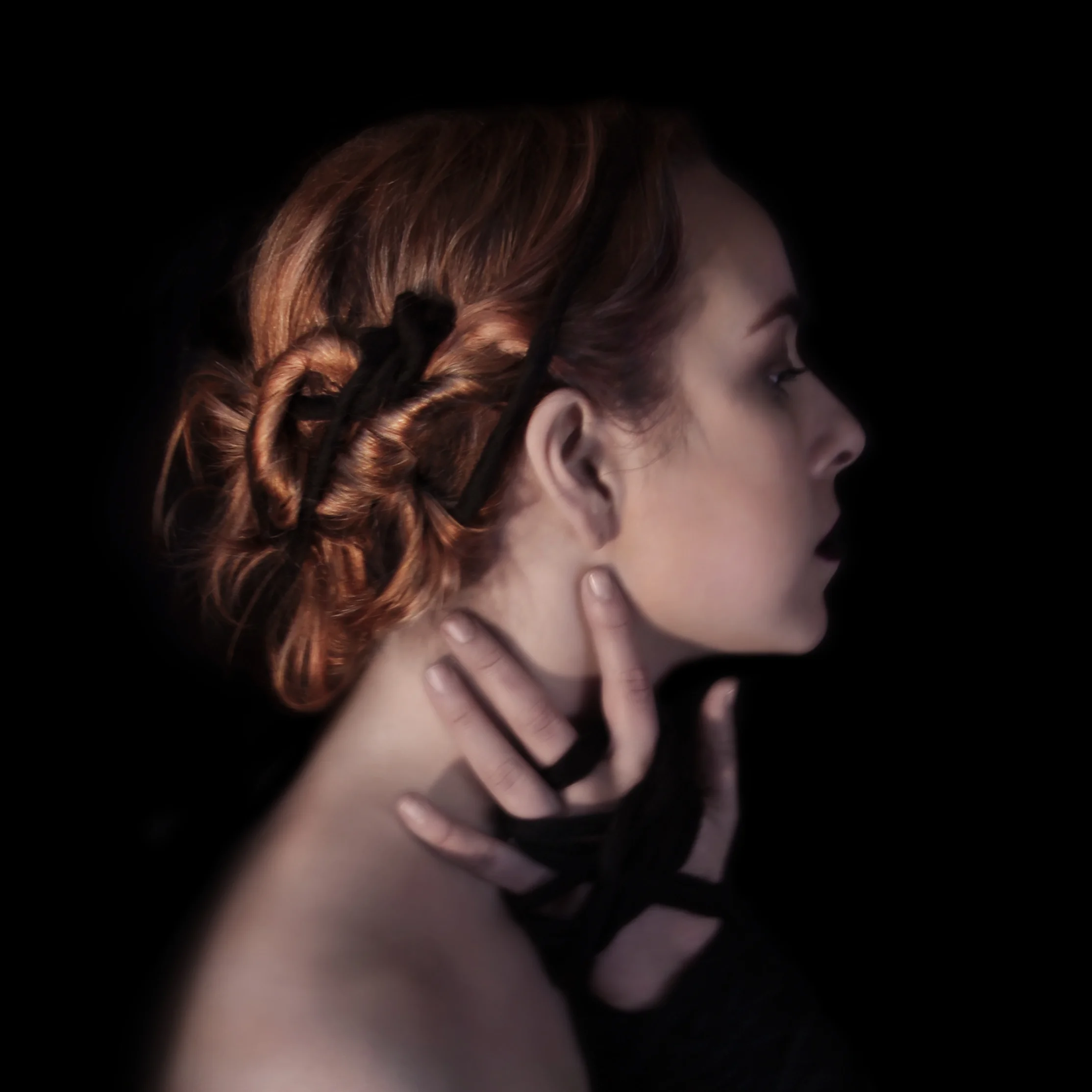 Sumner No Text-2.jpg