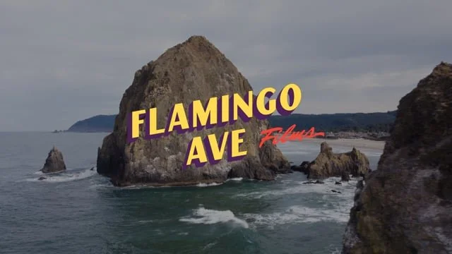 Flamingo Ave Demo Reel 2024