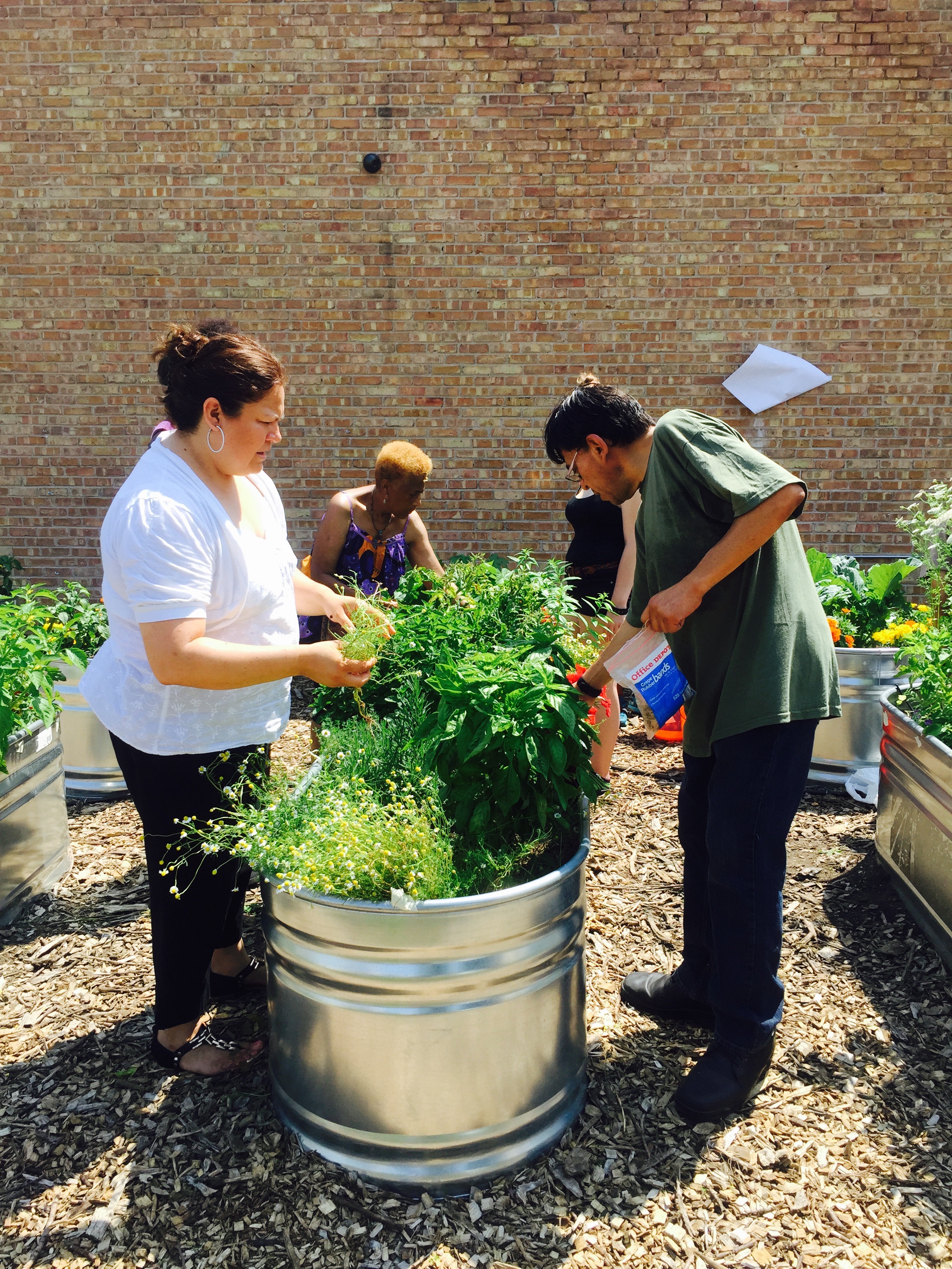 ECHO Members care for their raised-bed gardens.