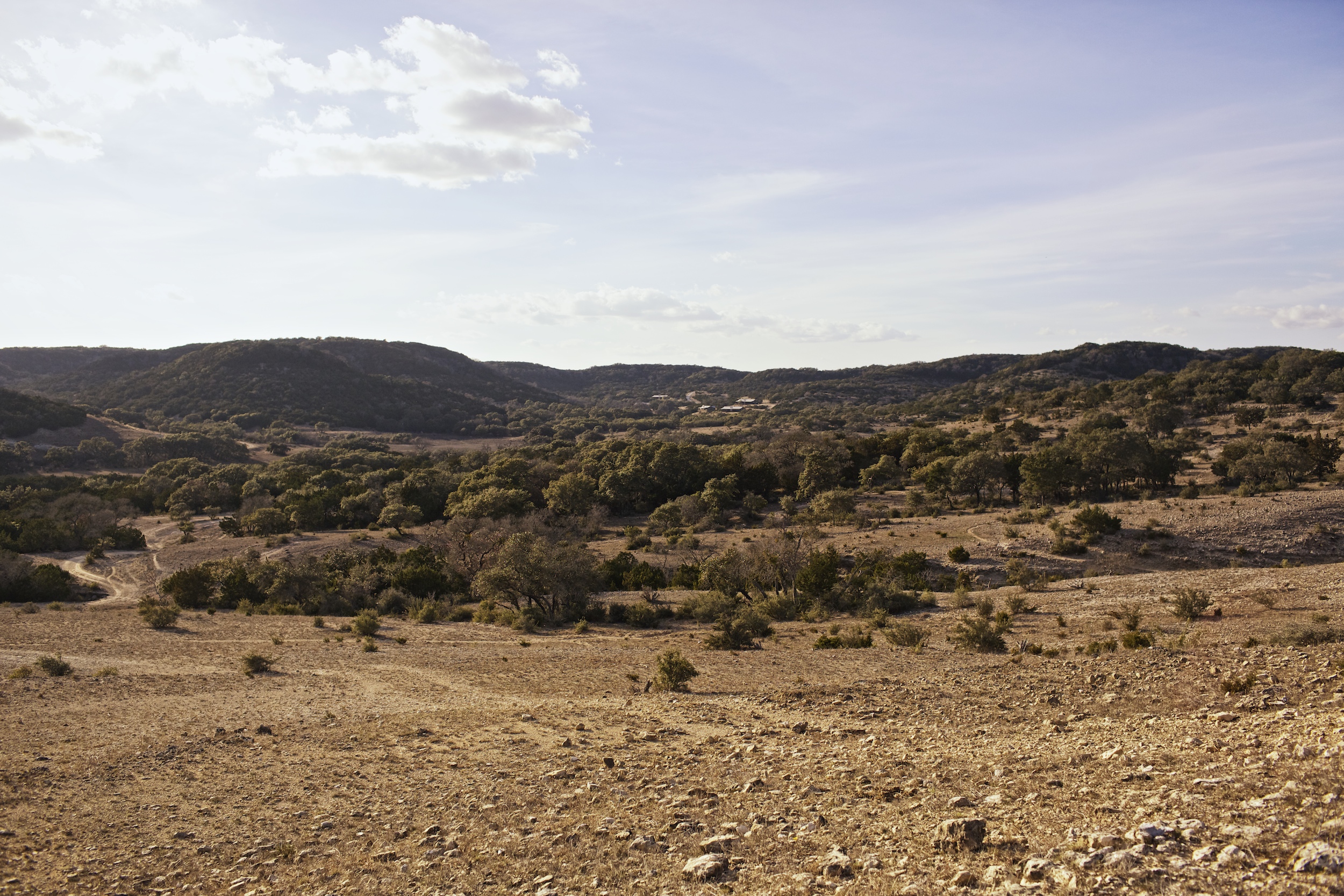 hill country website.jpeg