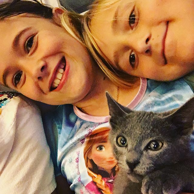 Kittens settling in. First family selfie for Toulouse!