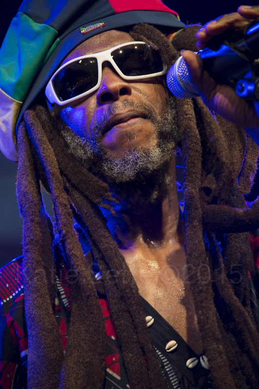 David "Dread" Hines, Steel Pulse