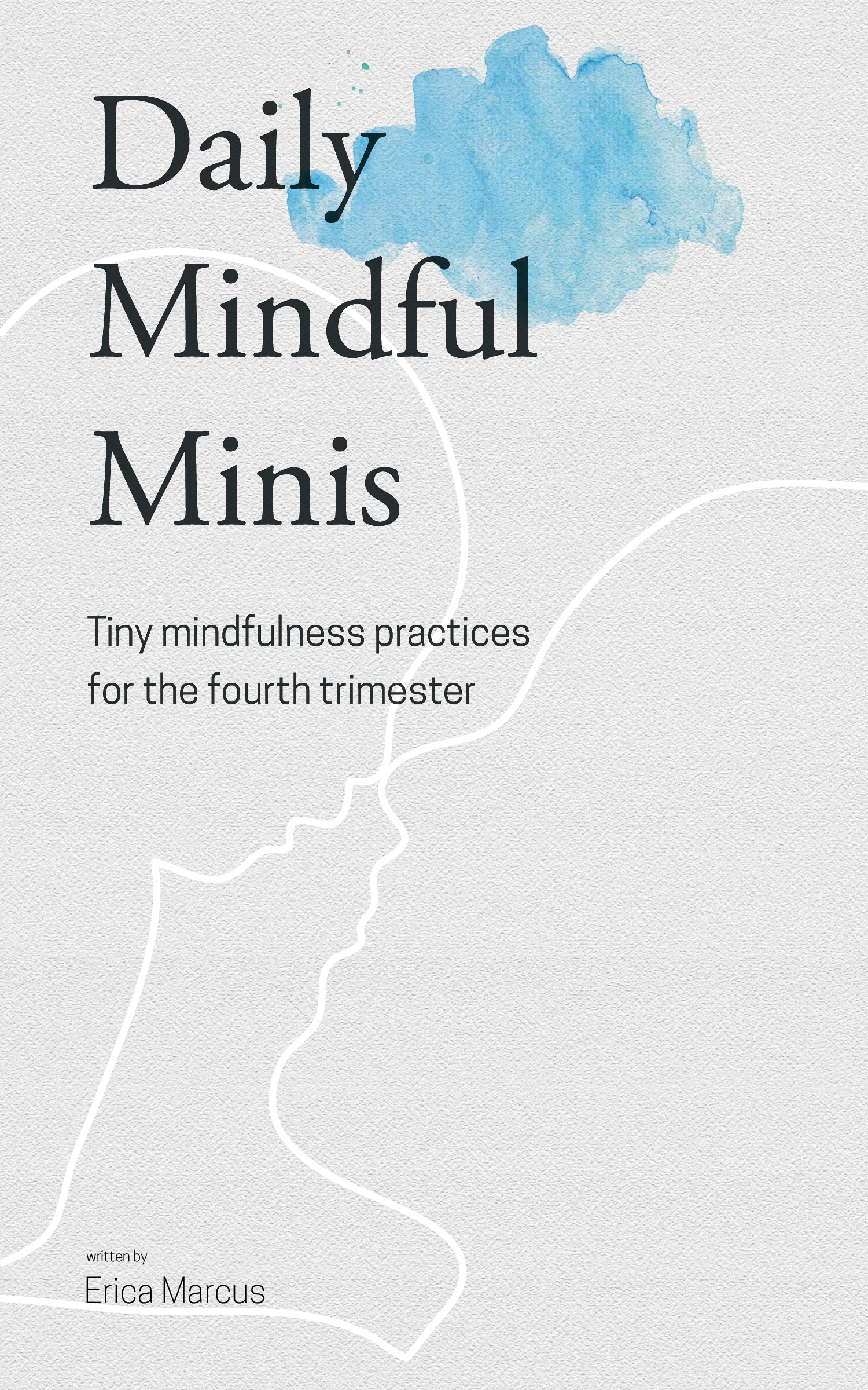 Daily Mindful Minis - Cover.jpg