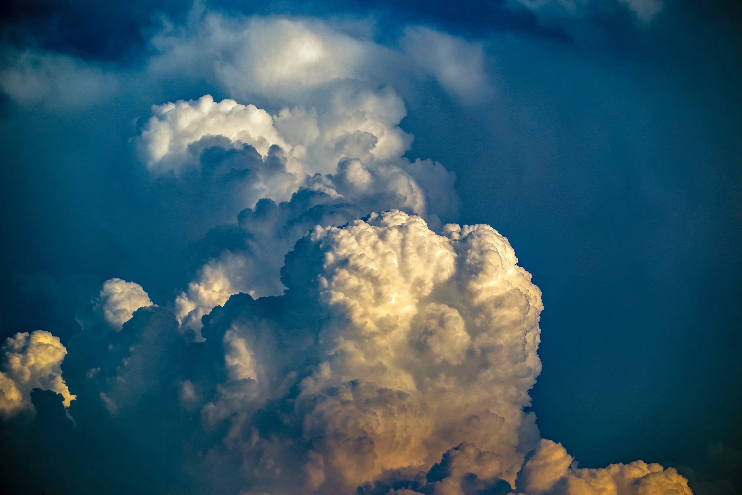 Photo by Michael Weidner on Unsplash