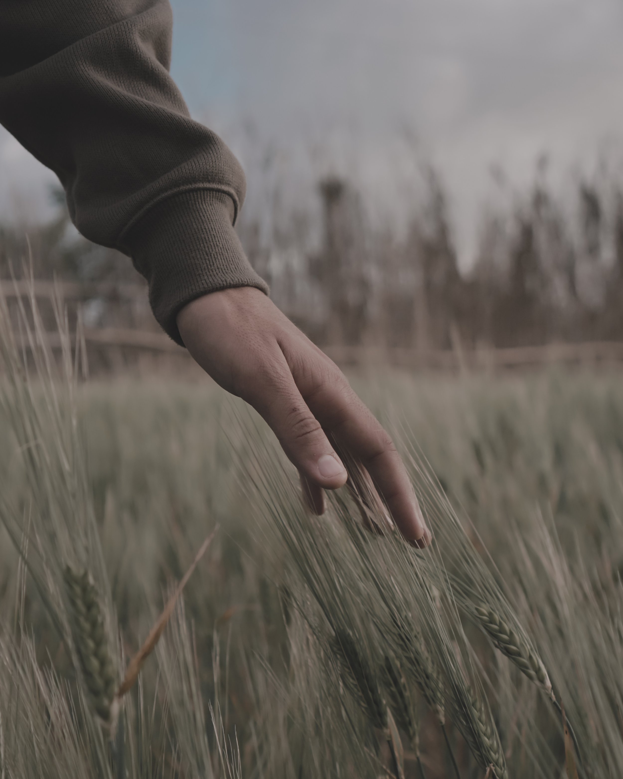 Photo by Youssef Aboutaleb on Unsplash