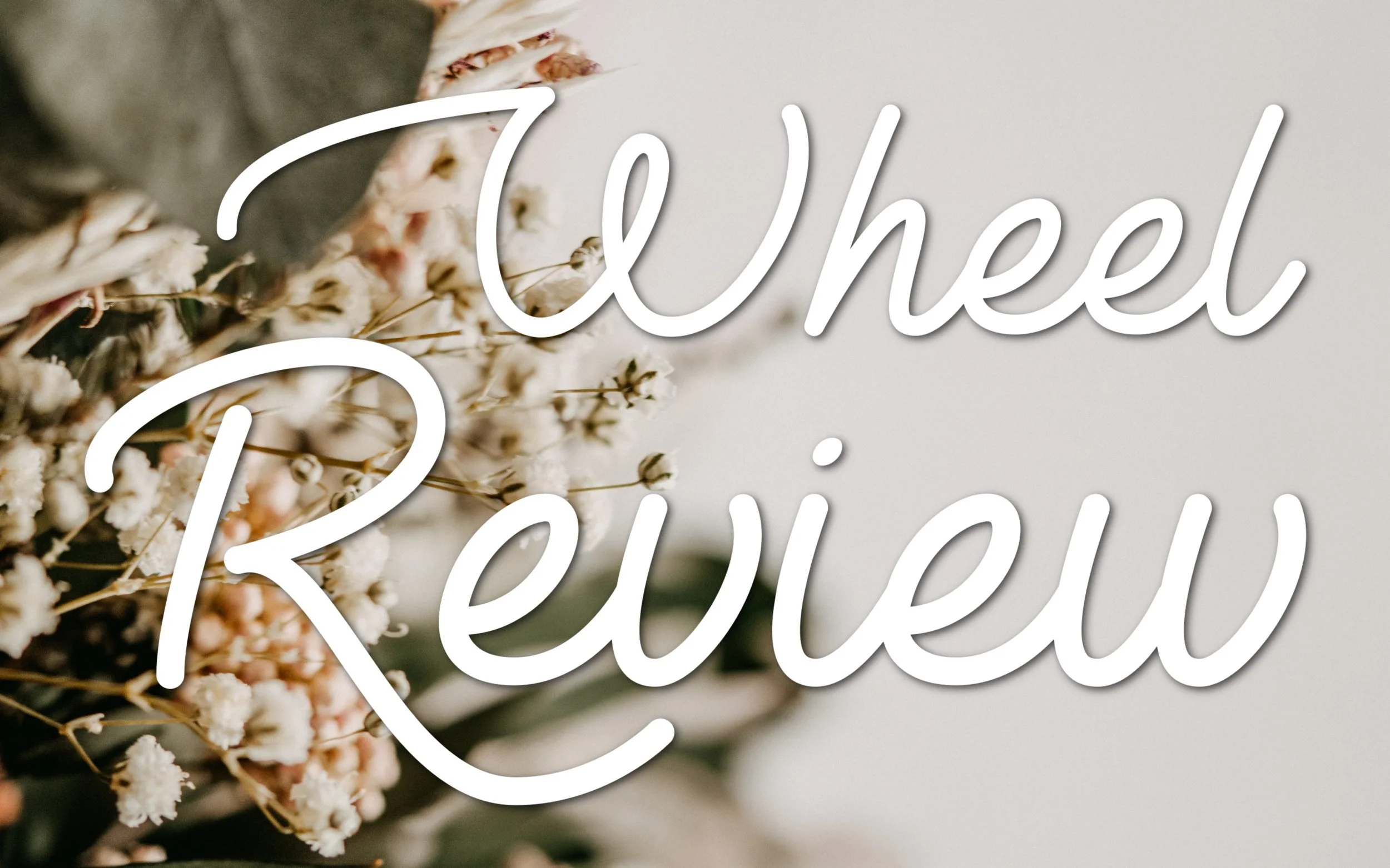 Confessions of a Homeschooler reviews the SpinOlution Echo